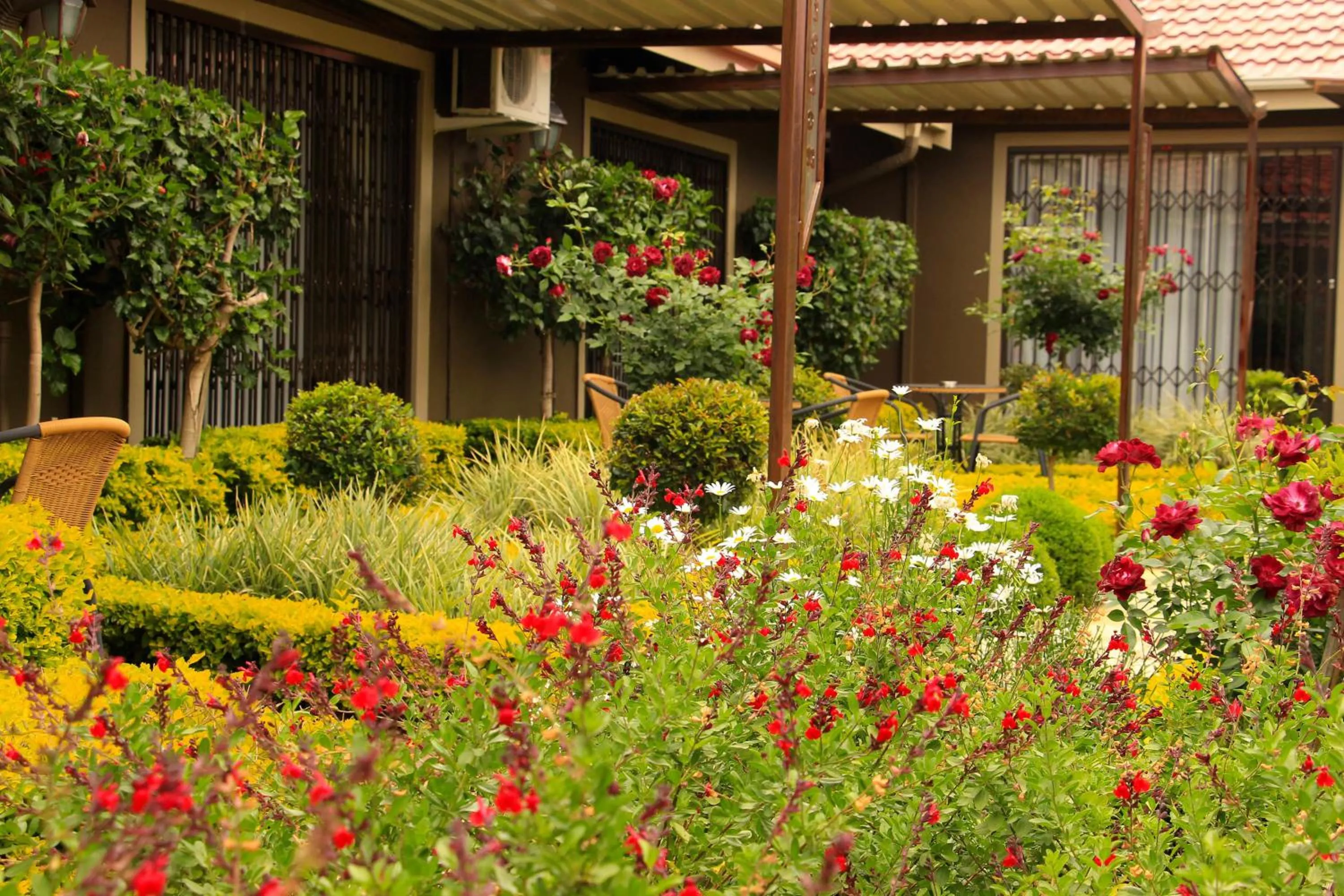 Garden in Avalon Guest Manor