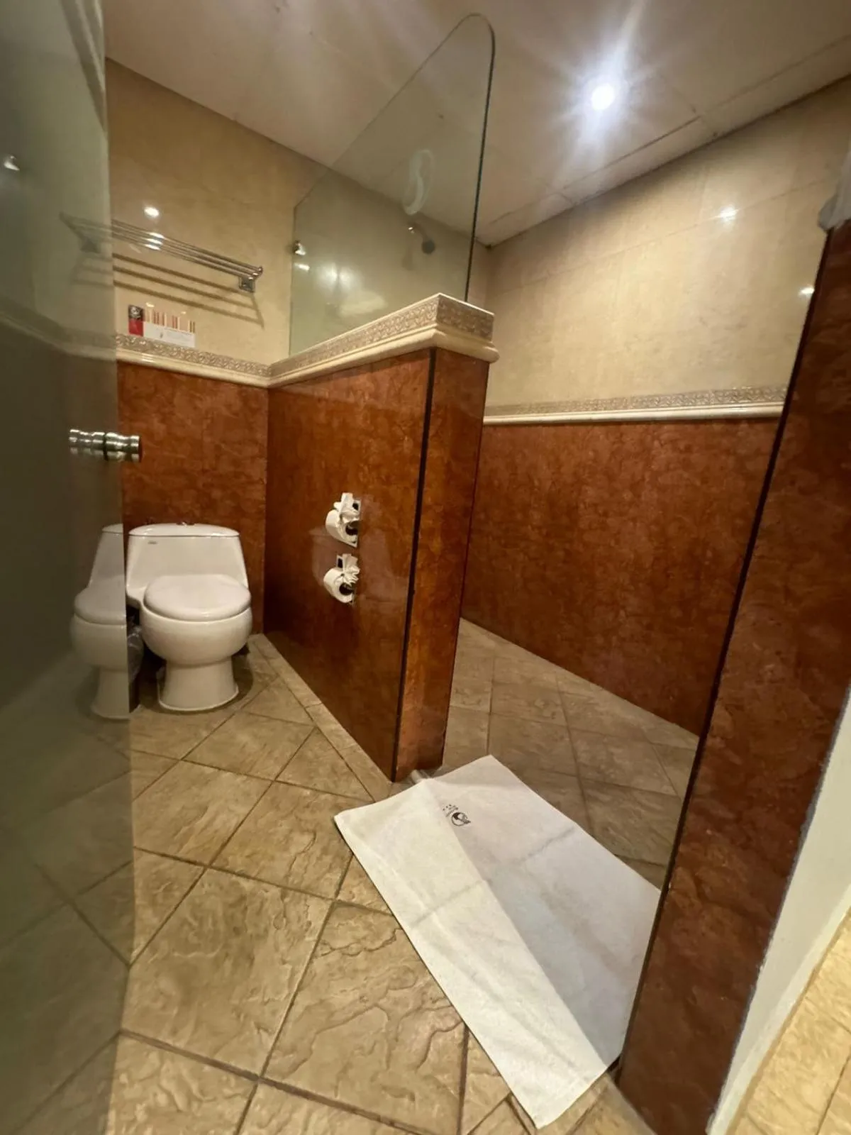 Toilet in Hotel Mexicali