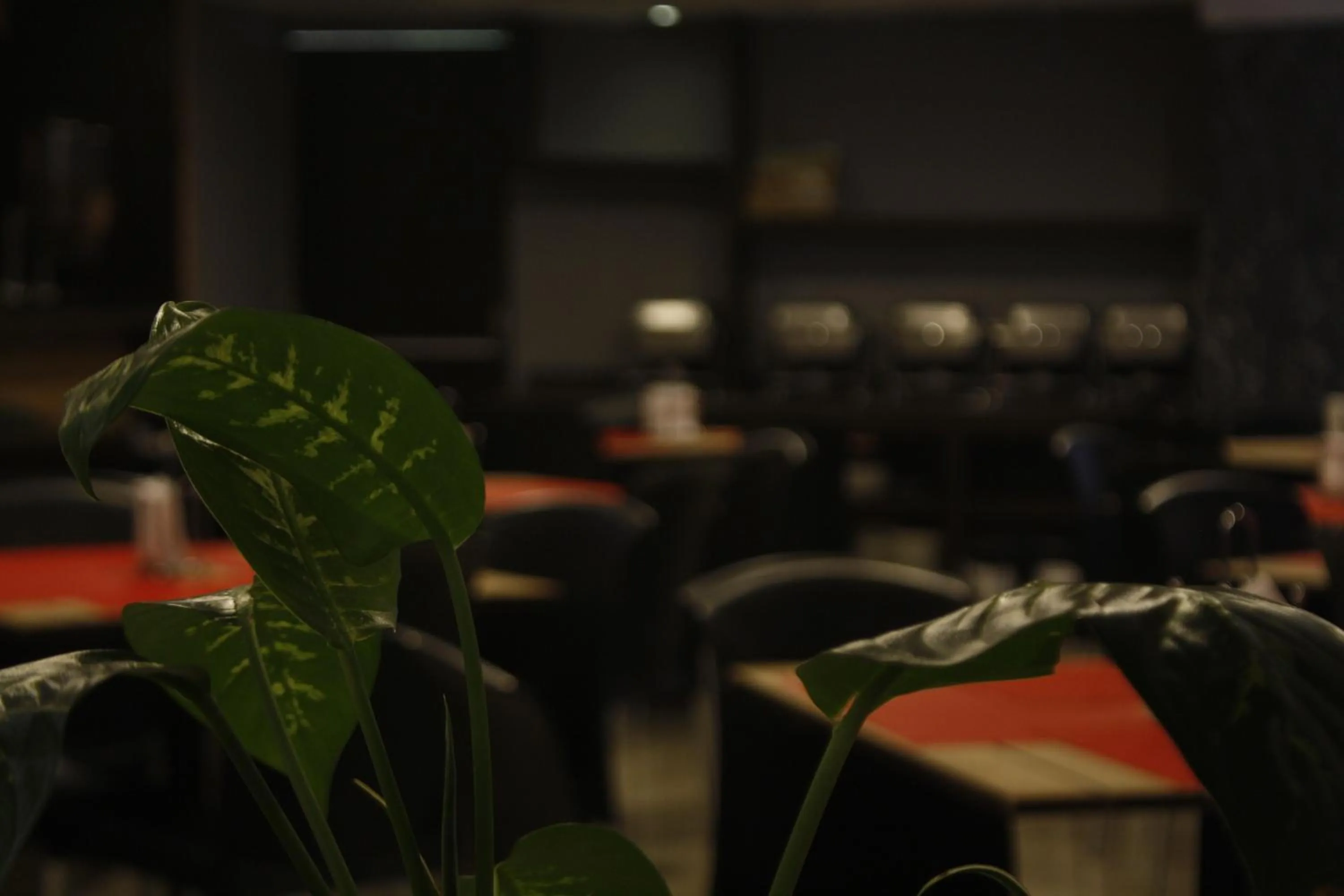 Restaurant/places to eat in Hotel Mexicali