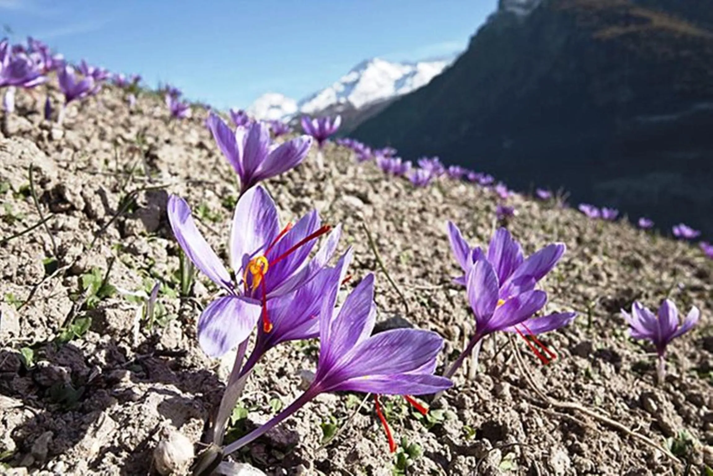 Natural landscape in Chalet Mund