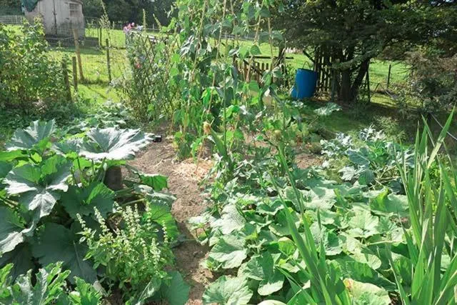 Garden in B&B Ferme du Petit Breuil