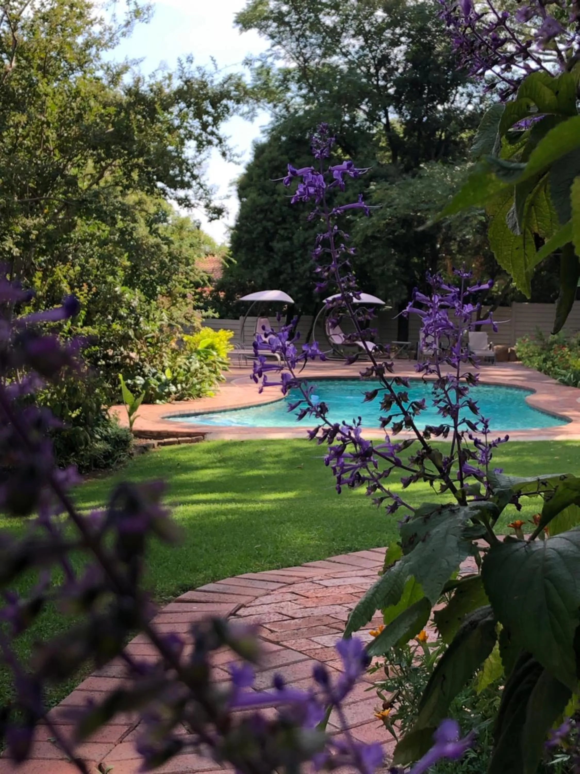Garden in The Haystack On Homestead