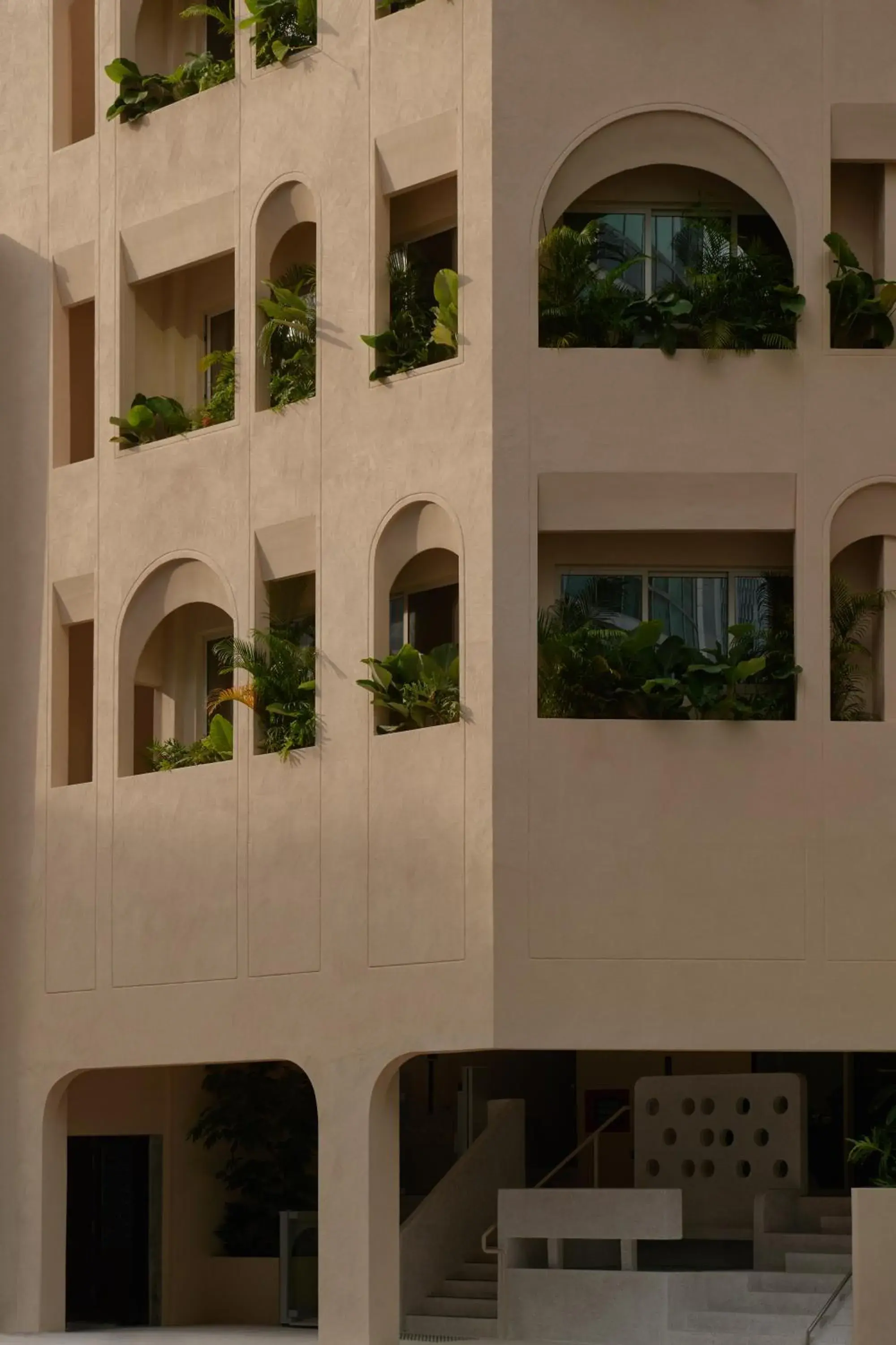 KINN Habitat KINN Habitat