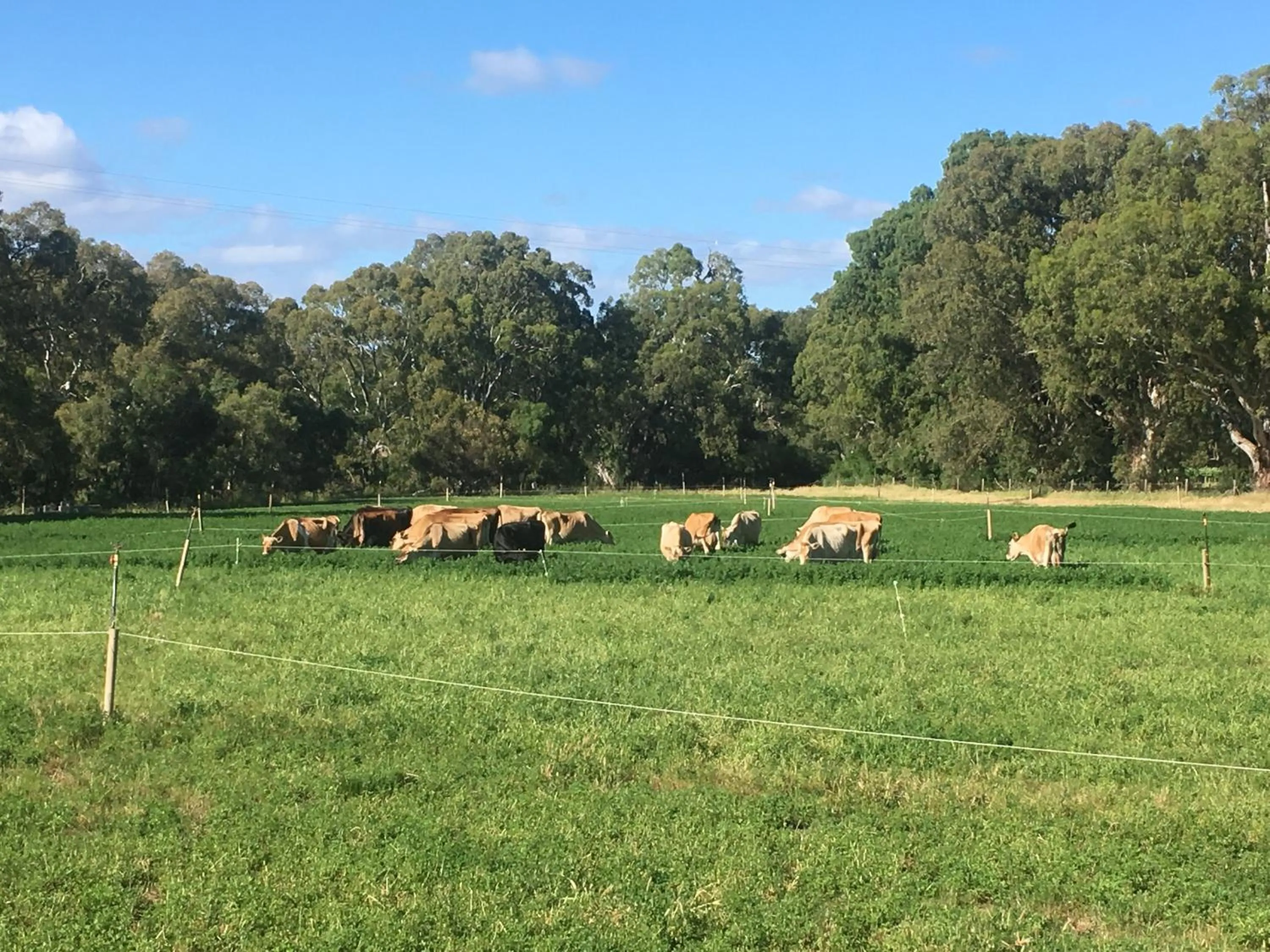 Property building in Dairyman's Cottage