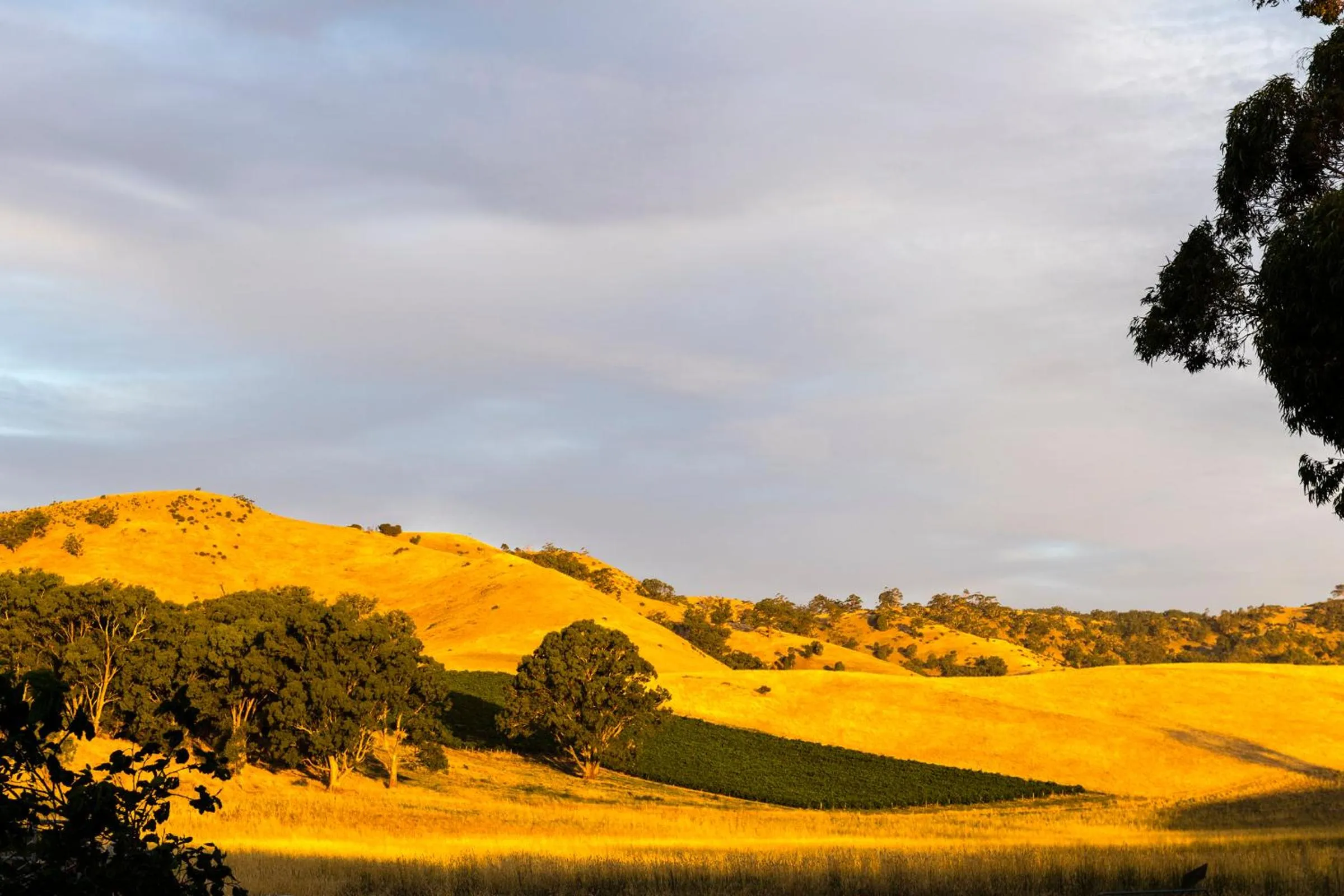 Property building in Dairyman's Cottage