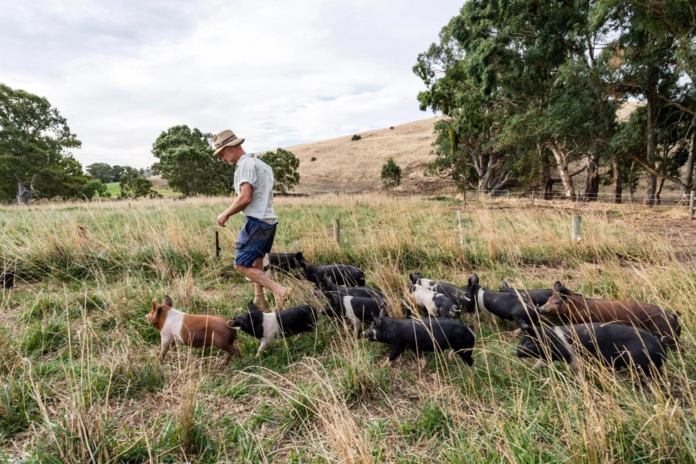 Property building in Dairyman's Cottage
