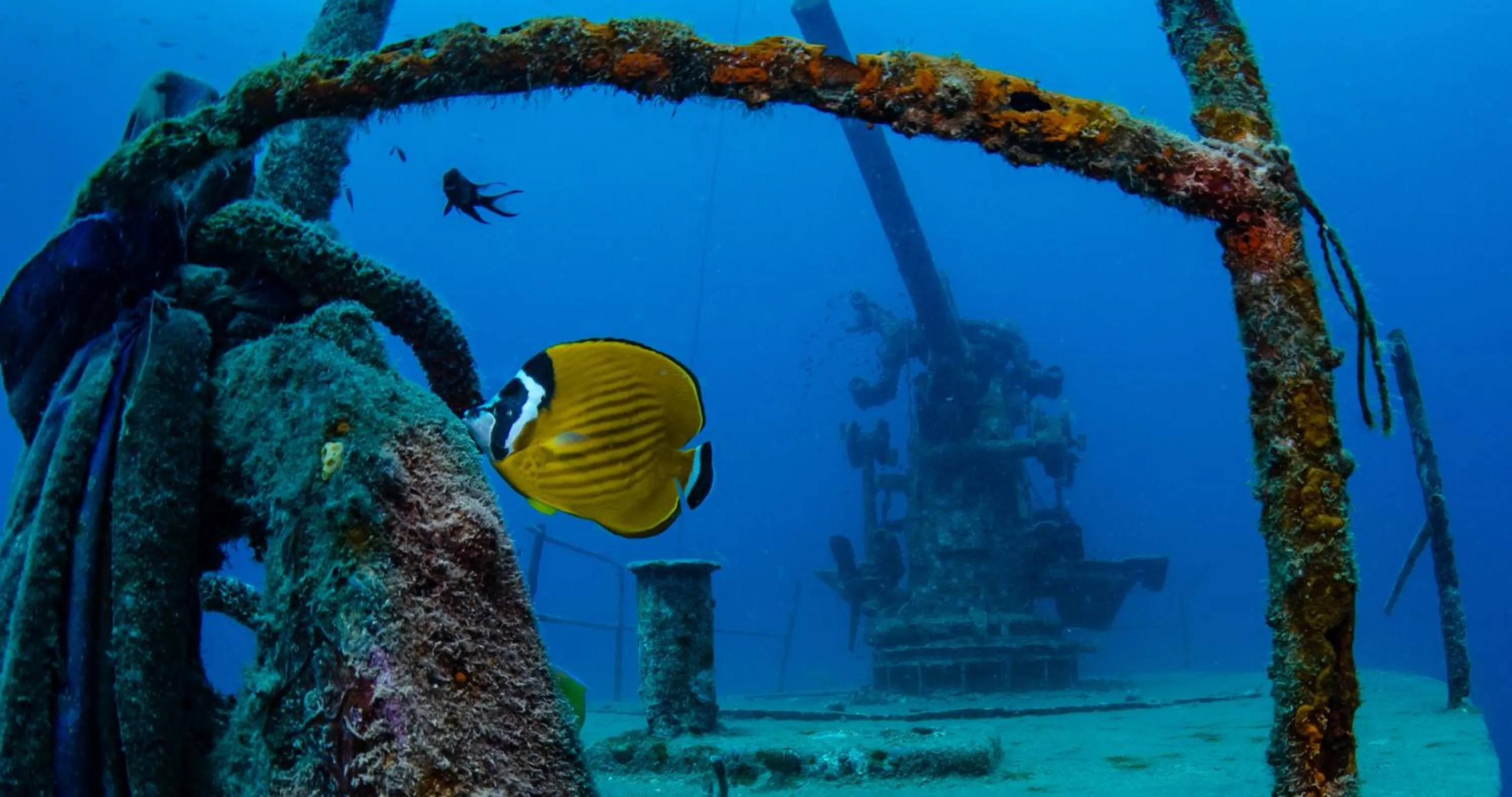 Activities in The Tarna Resort, Koh Tao