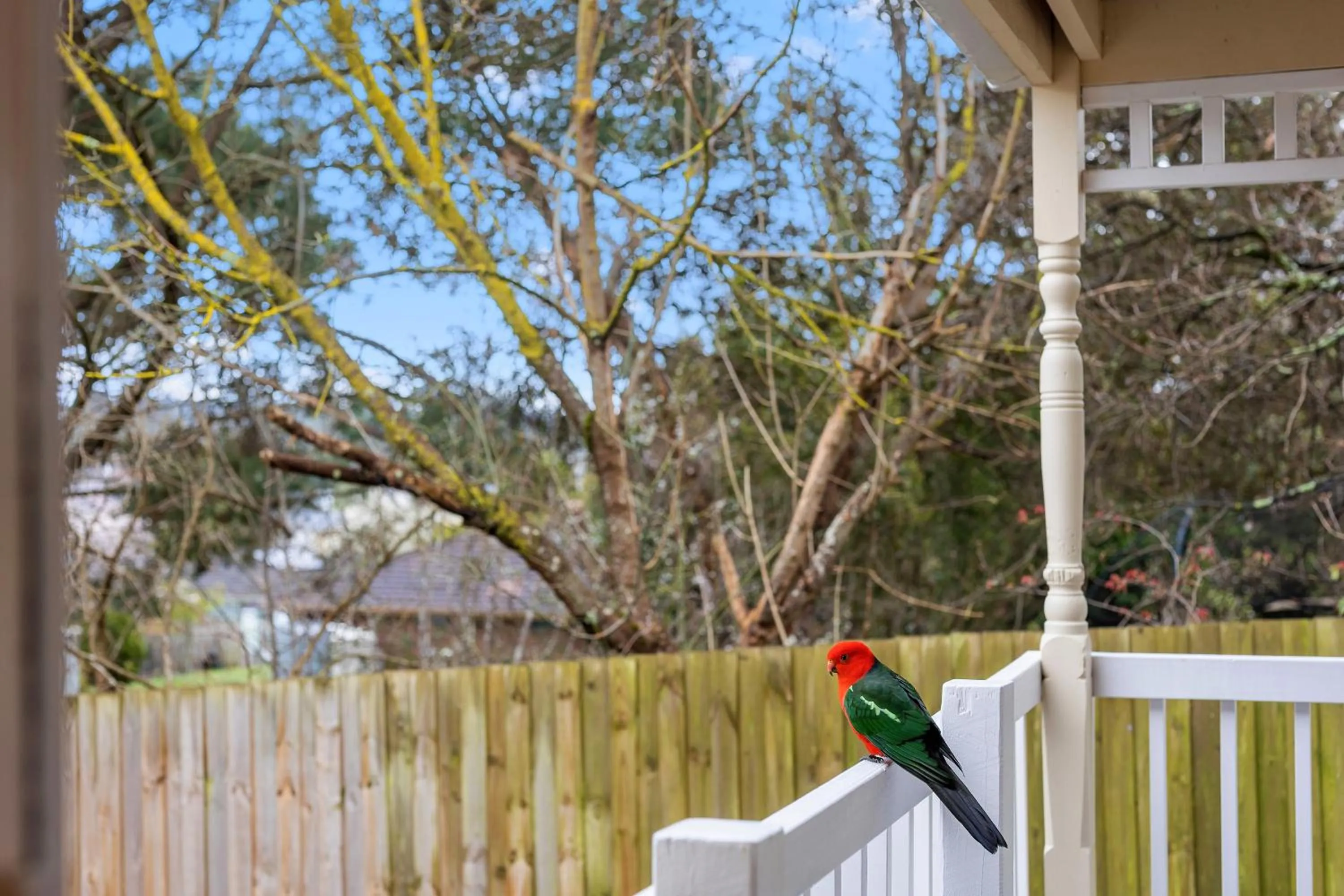 Balcony/Terrace in Yarra Gables