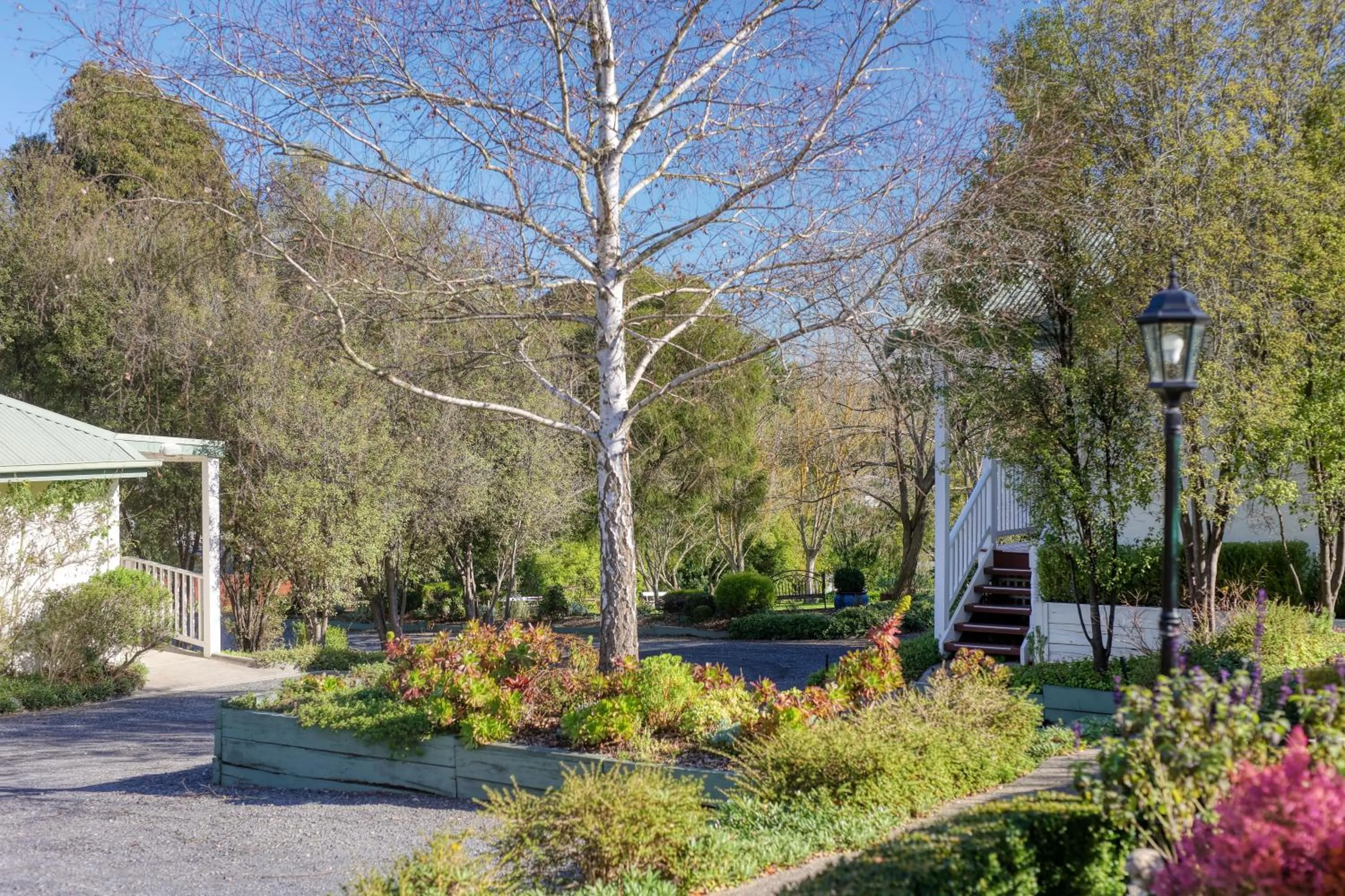 Garden in Yarra Gables