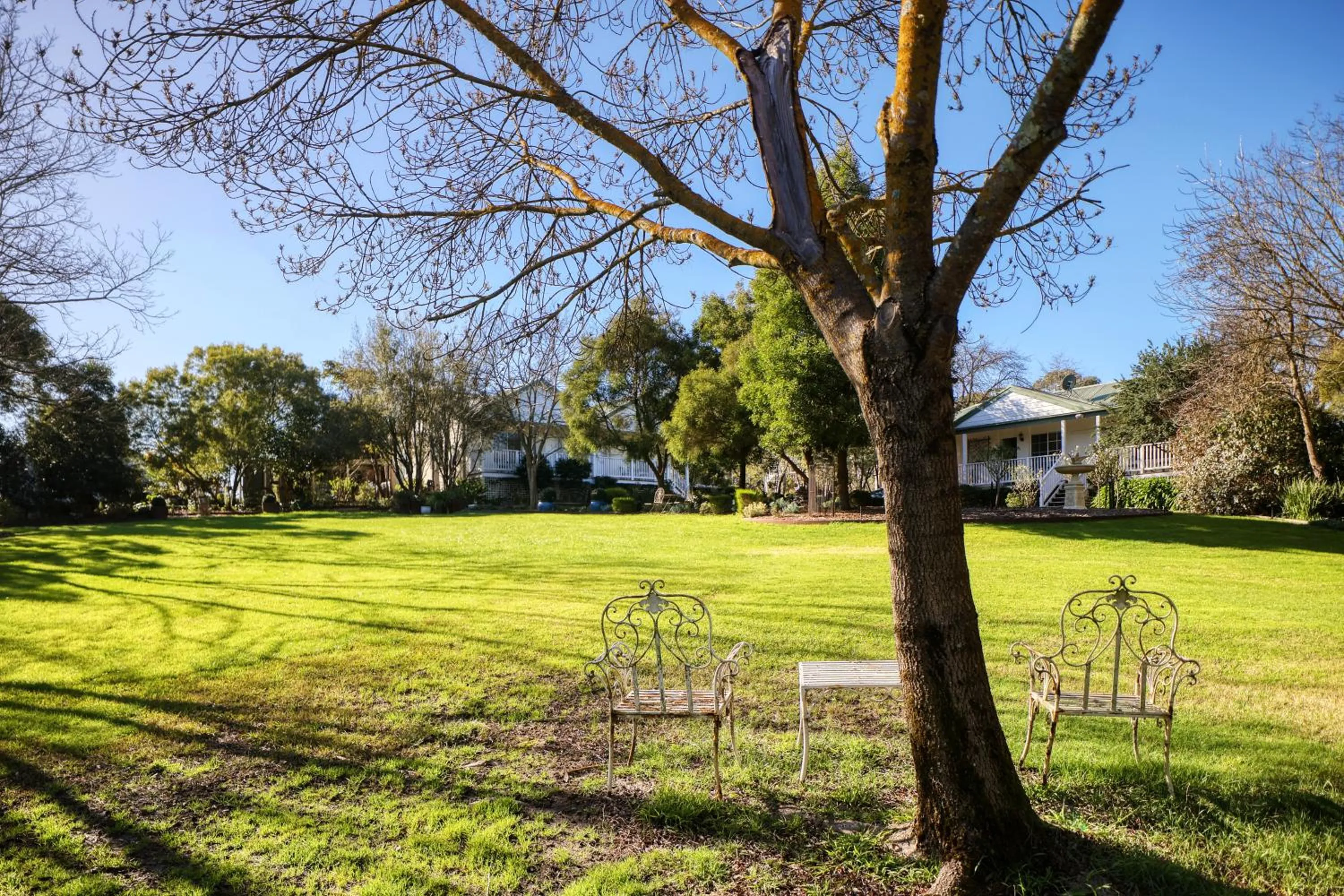 Garden view in Yarra Gables
