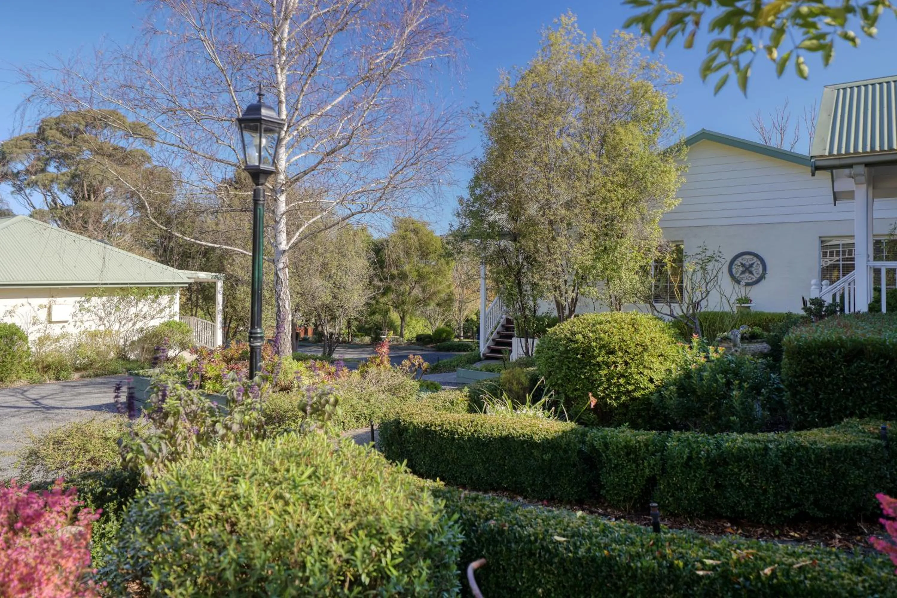 Garden in Yarra Gables