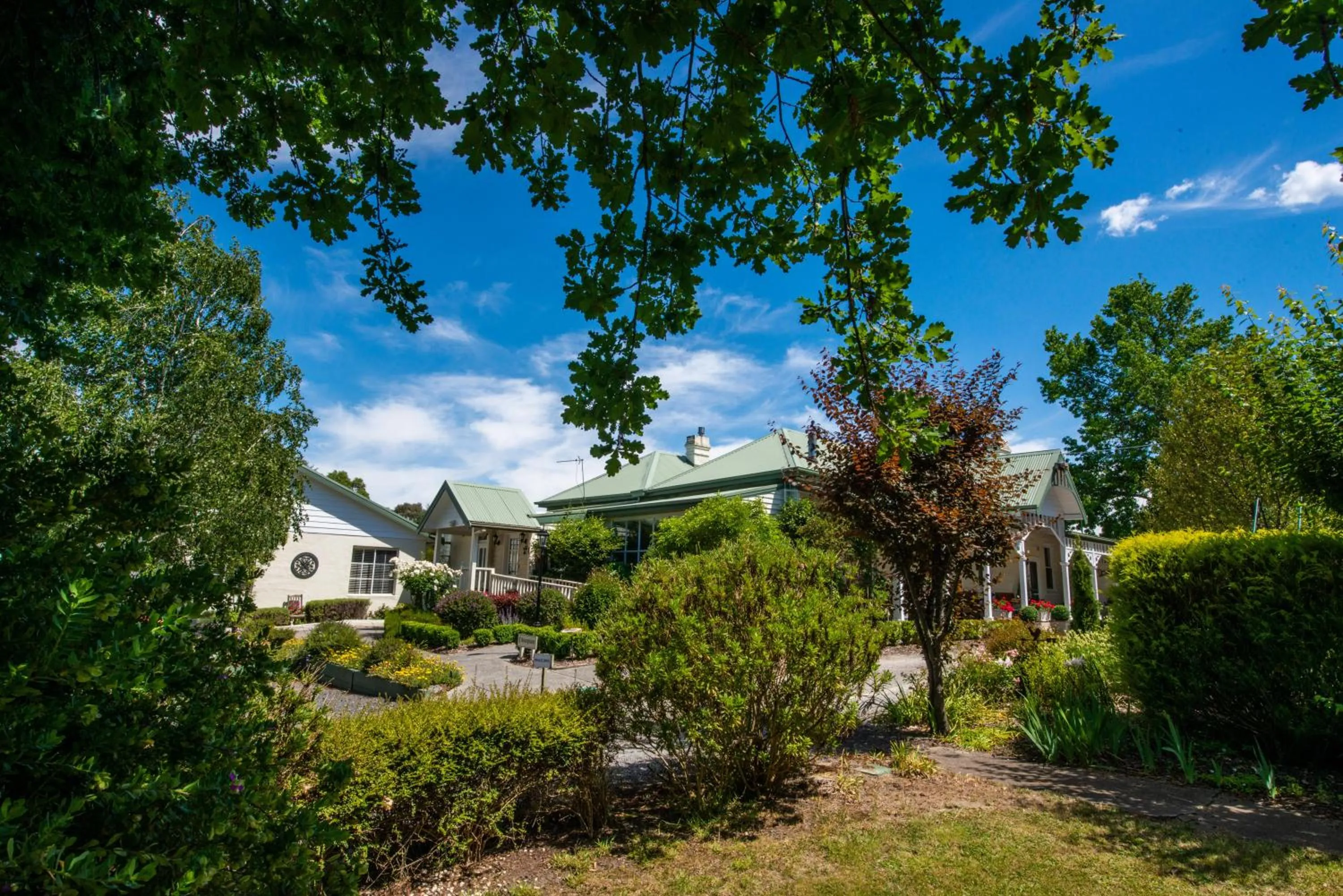 Garden in Yarra Gables