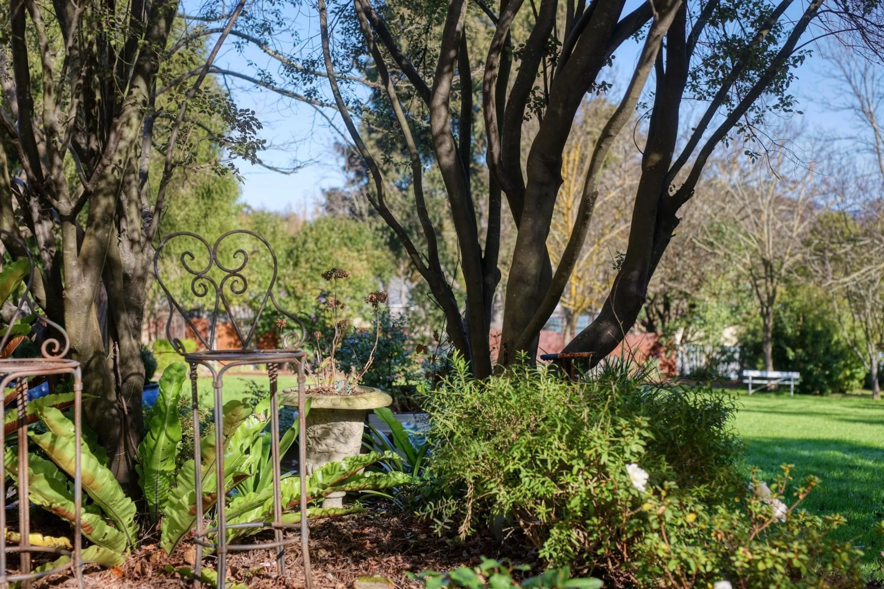 Garden in Yarra Gables