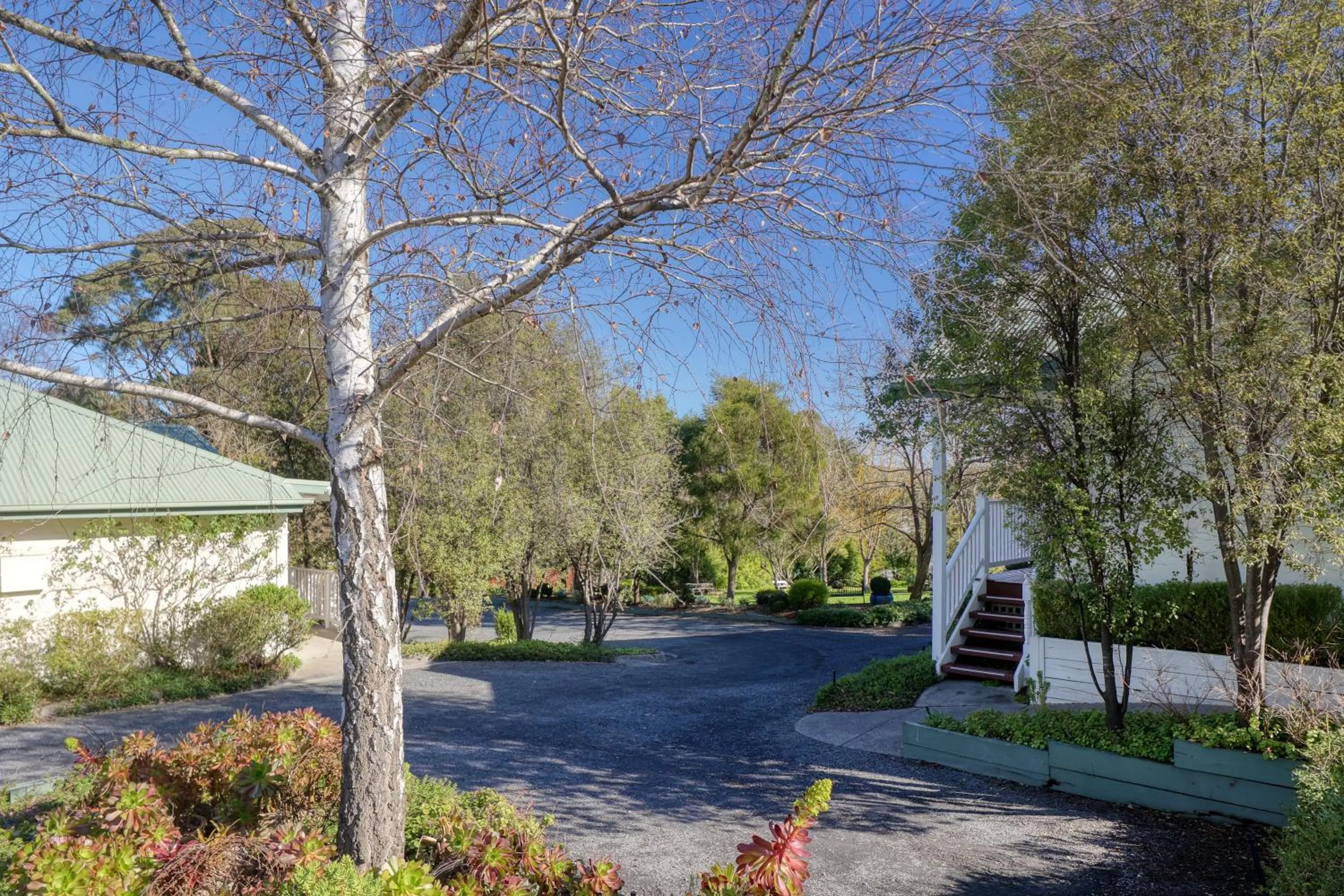 Garden in Yarra Gables