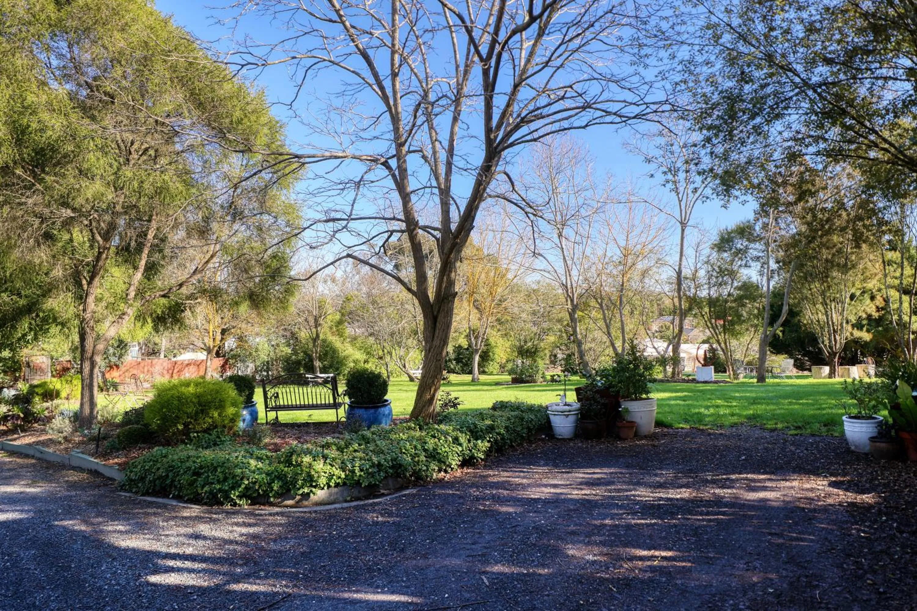Garden view in Yarra Gables