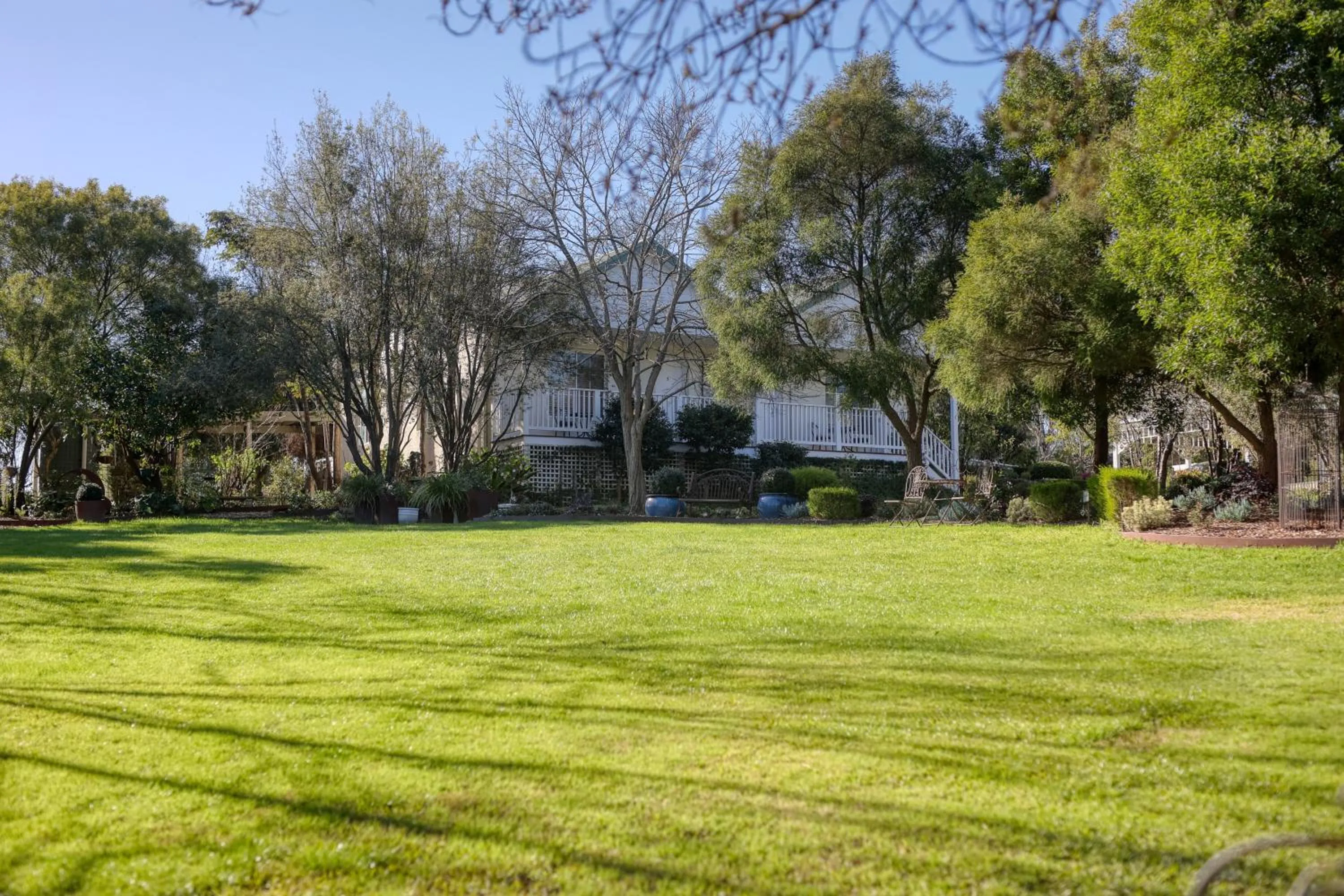 Garden view in Yarra Gables