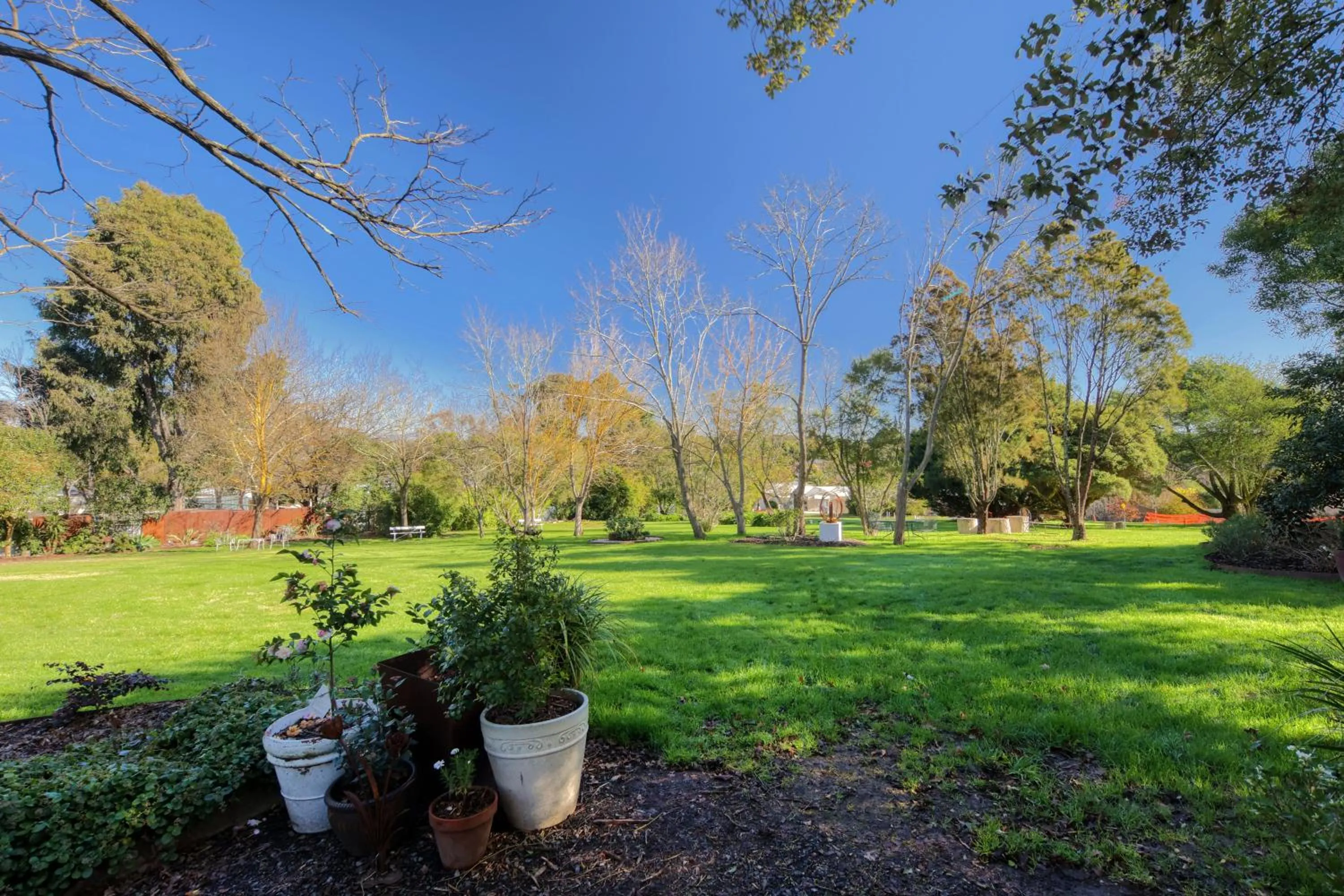 Garden view in Yarra Gables