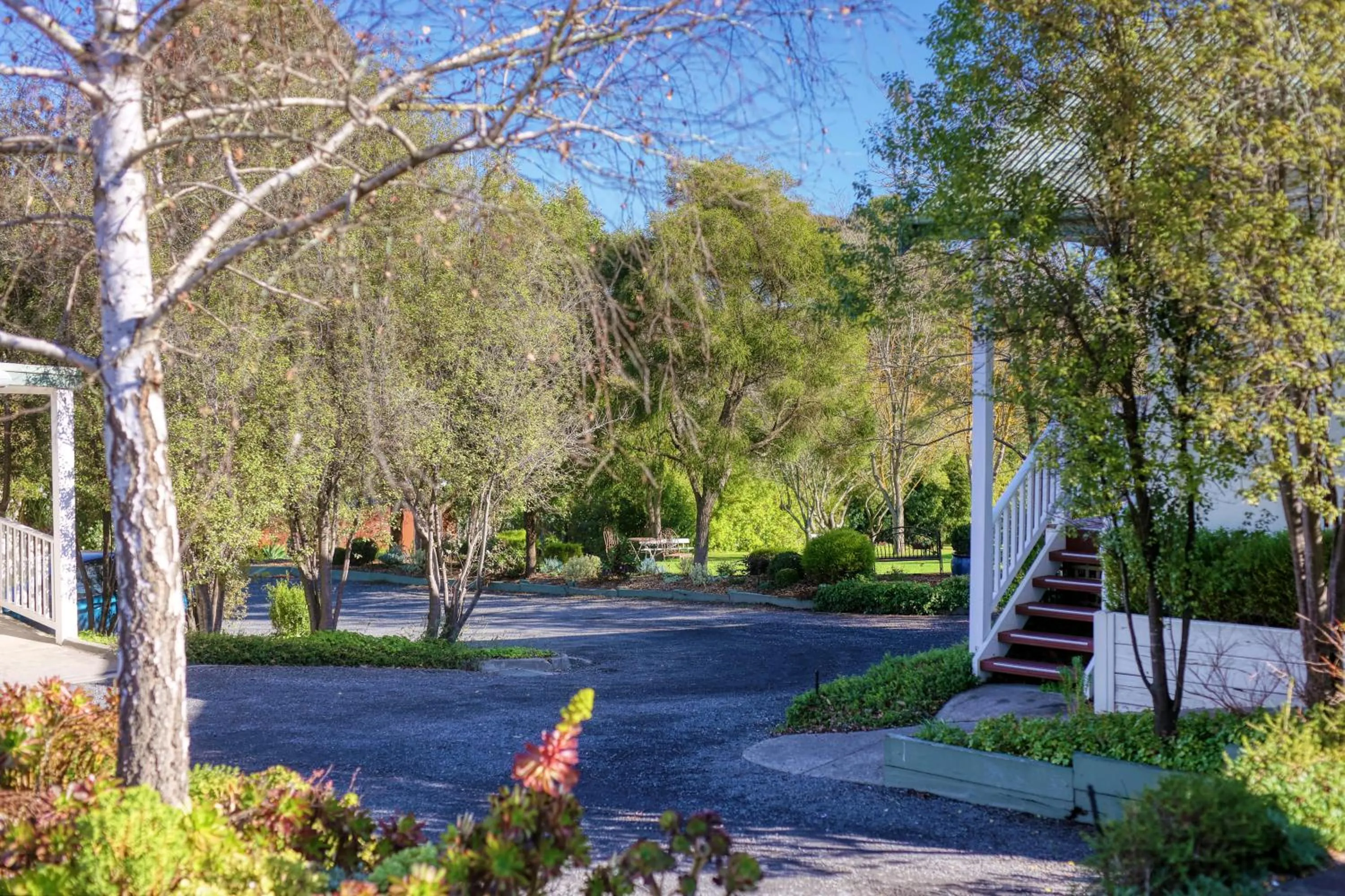 Garden in Yarra Gables