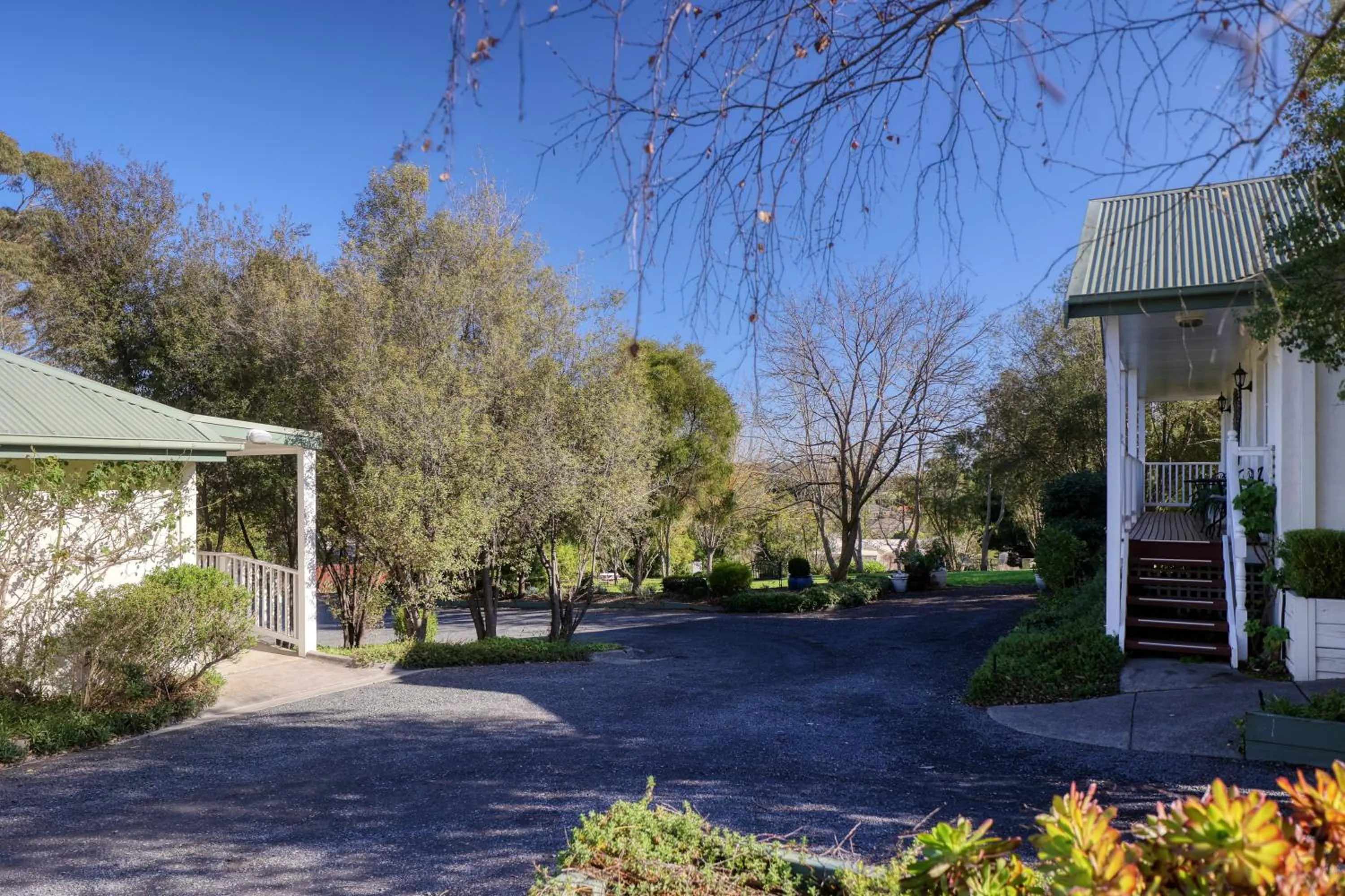 Garden in Yarra Gables