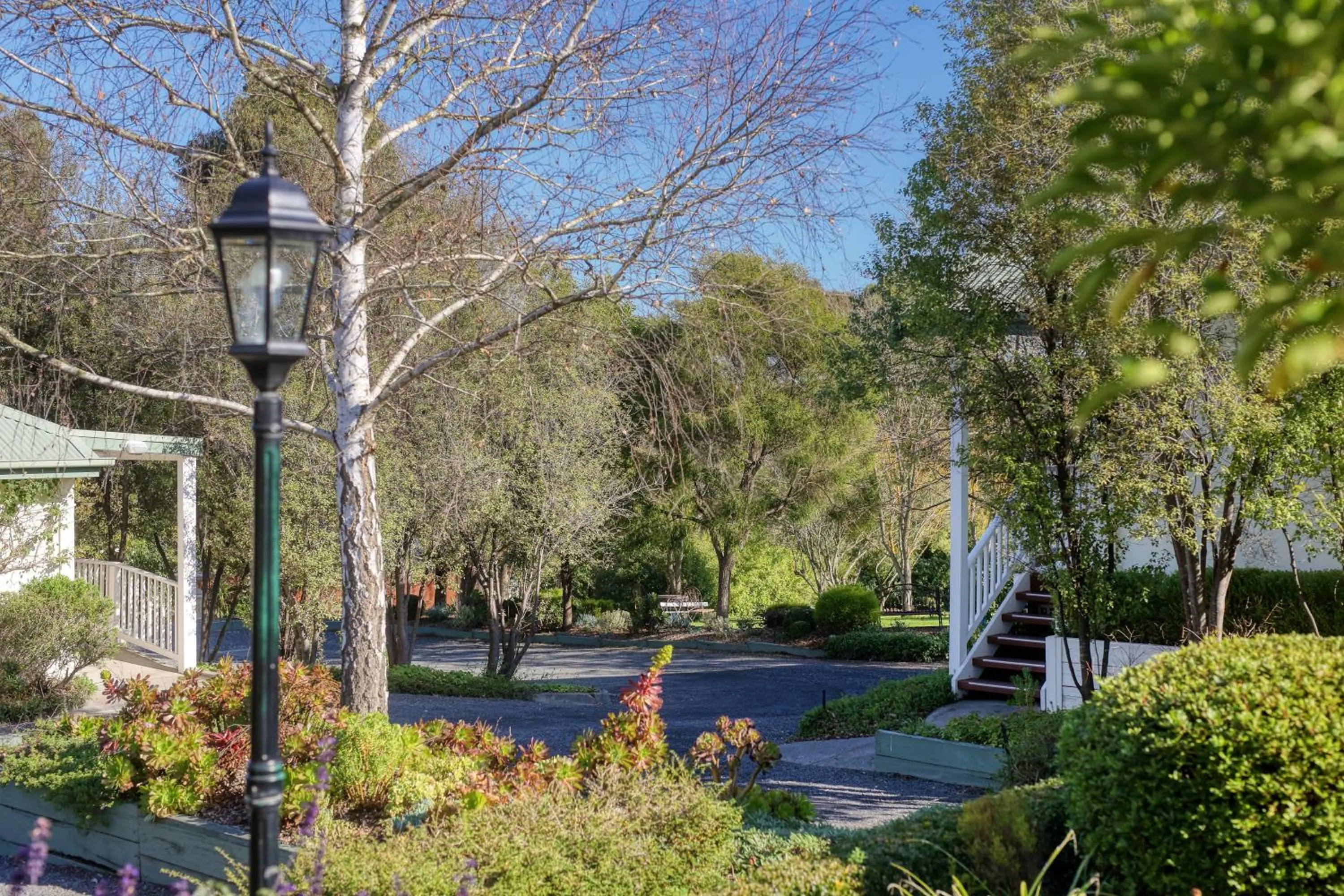 Garden in Yarra Gables