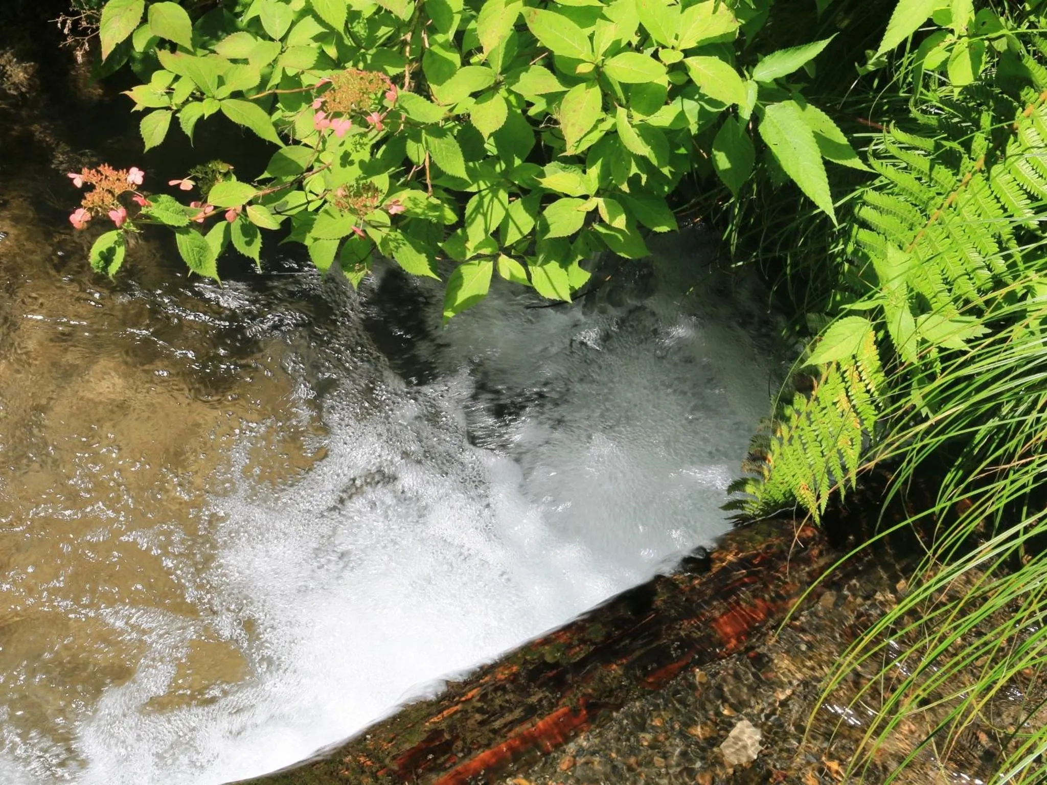 Natural landscape in Kose Onsen