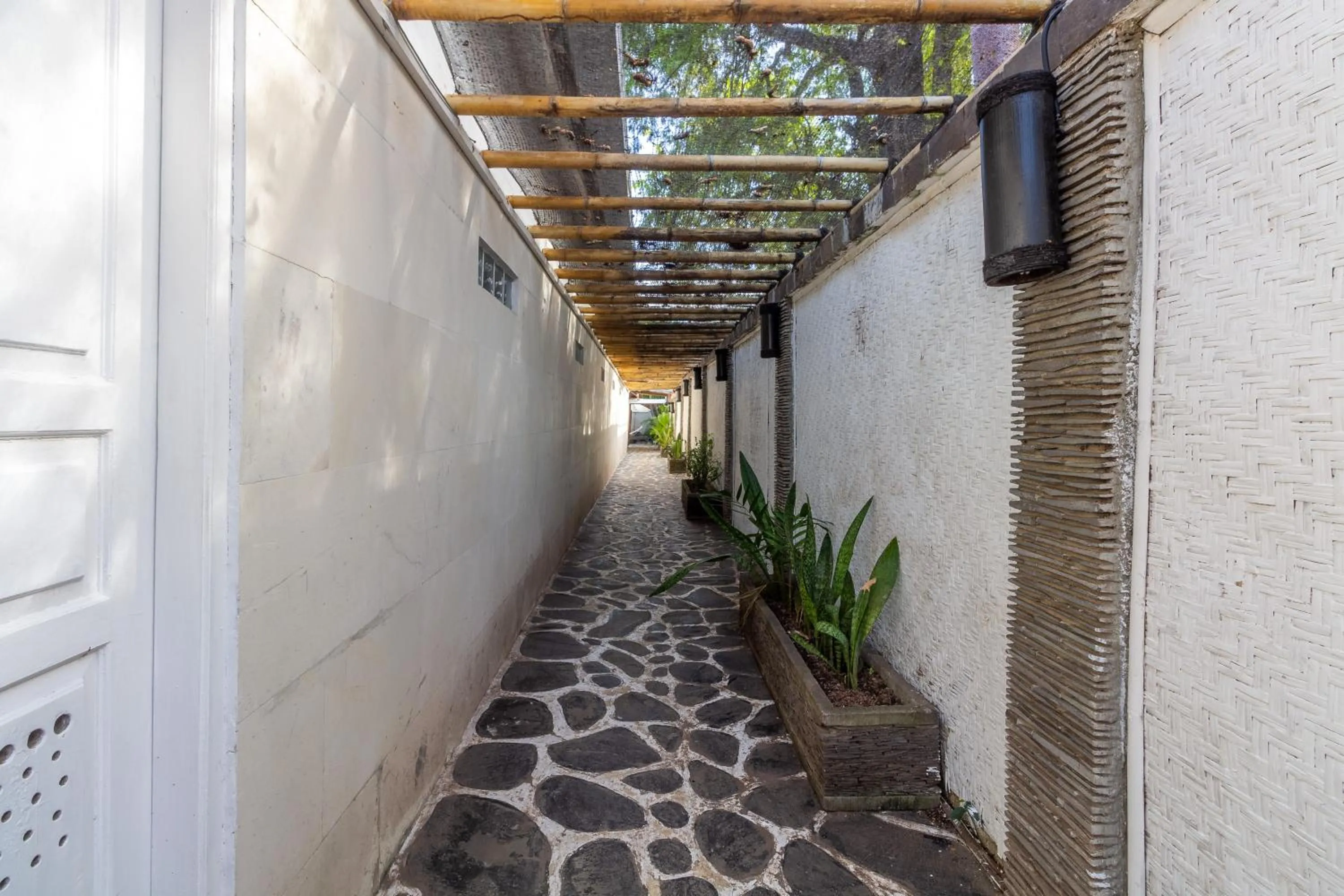 Scallywags Mango Retreat