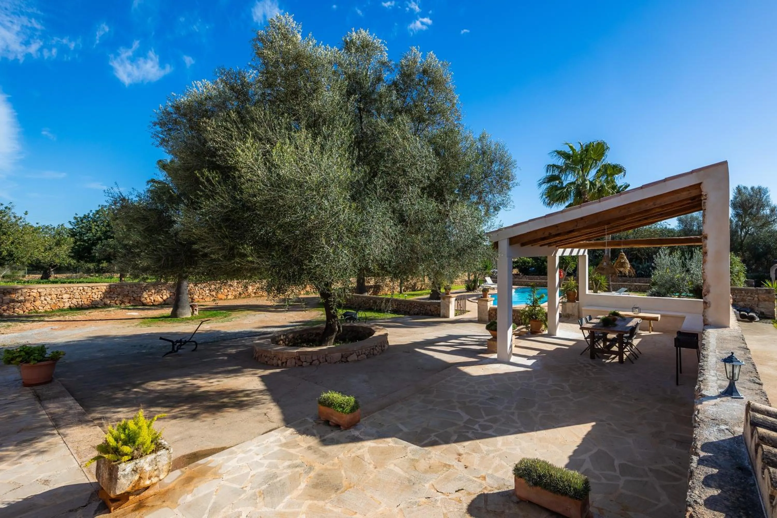 Finca Linda