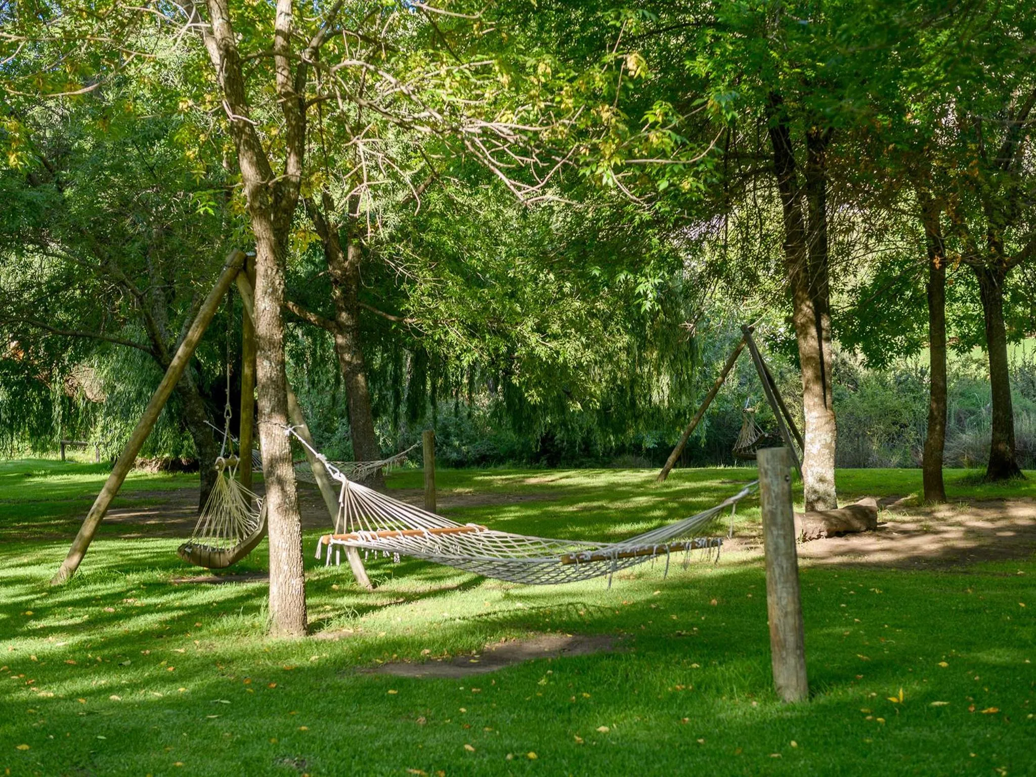 On site in Kiara Lodge