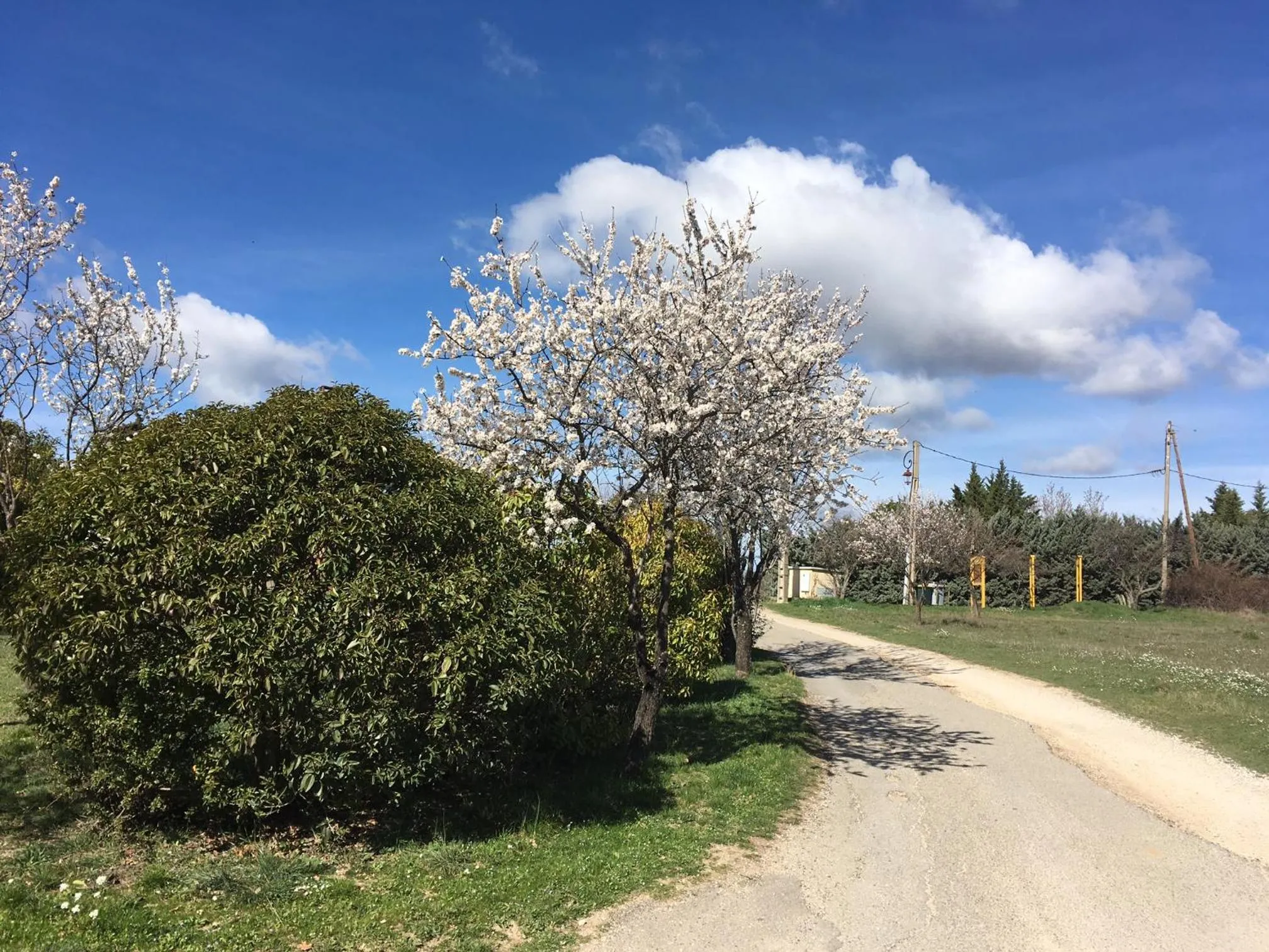 Spring in Les Gites de Catherine