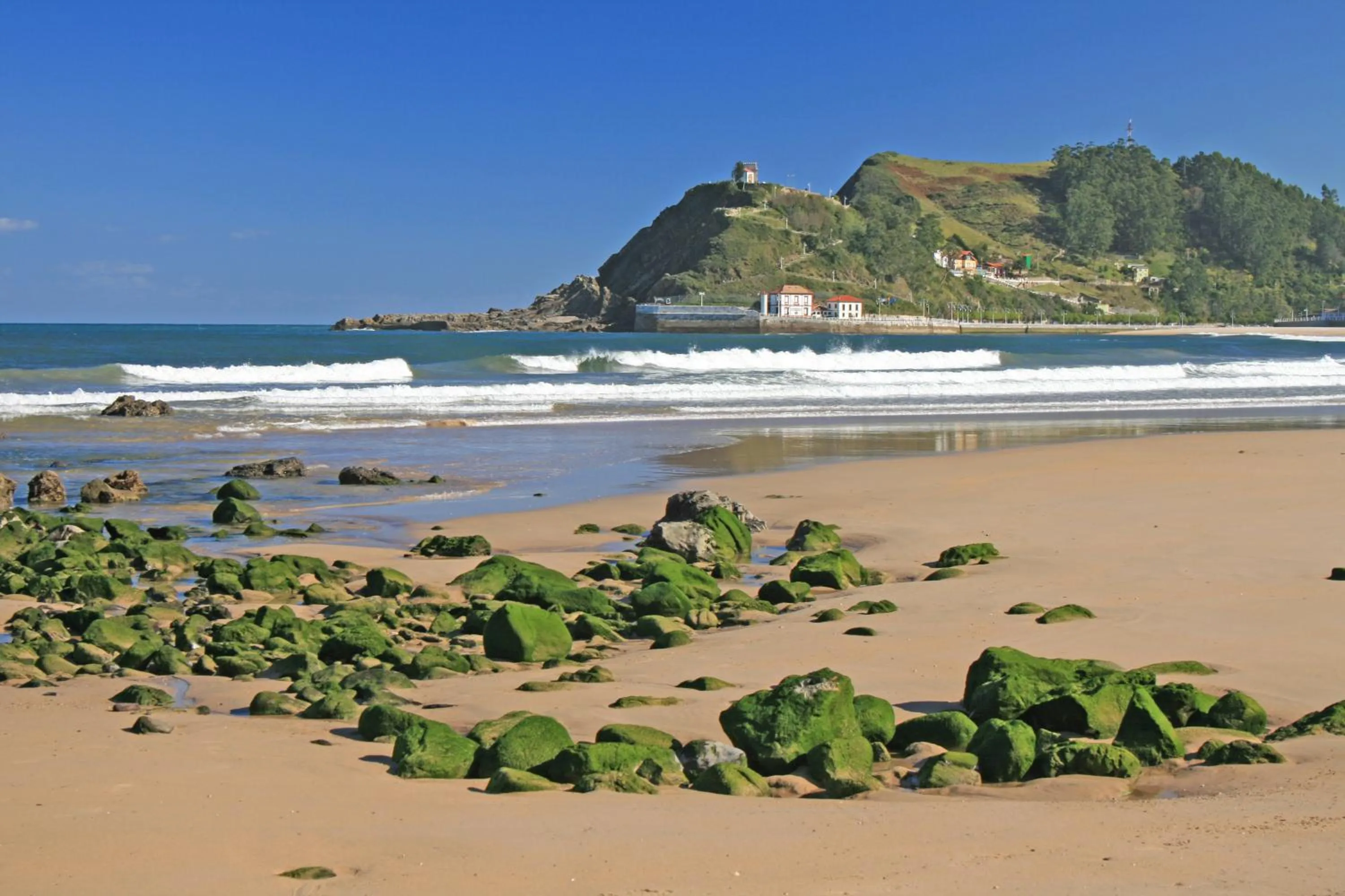 Area and facilities in Hotel Villa Rosario, Palacete