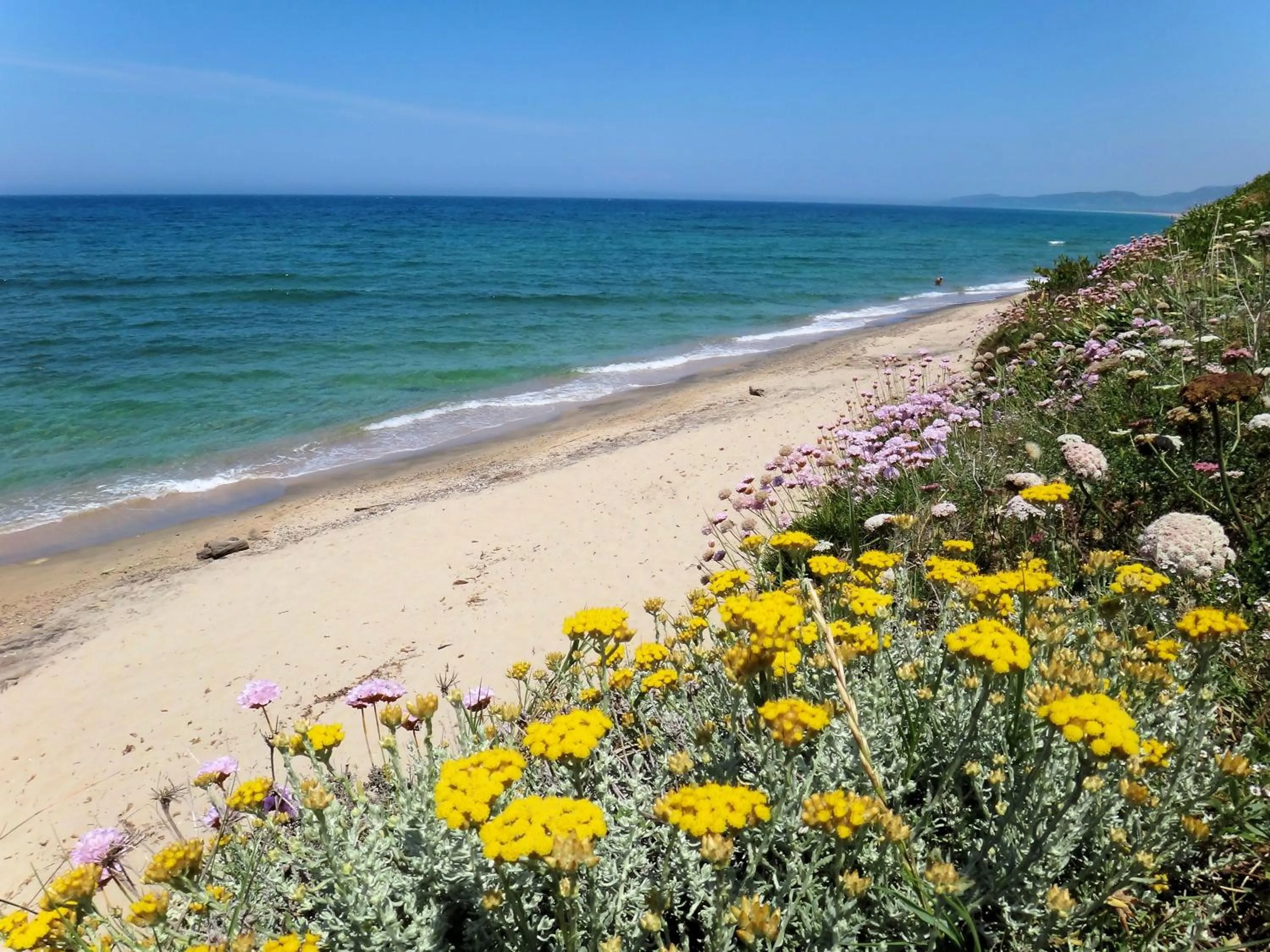 Natural landscape in Sa Fiorida case vacanze