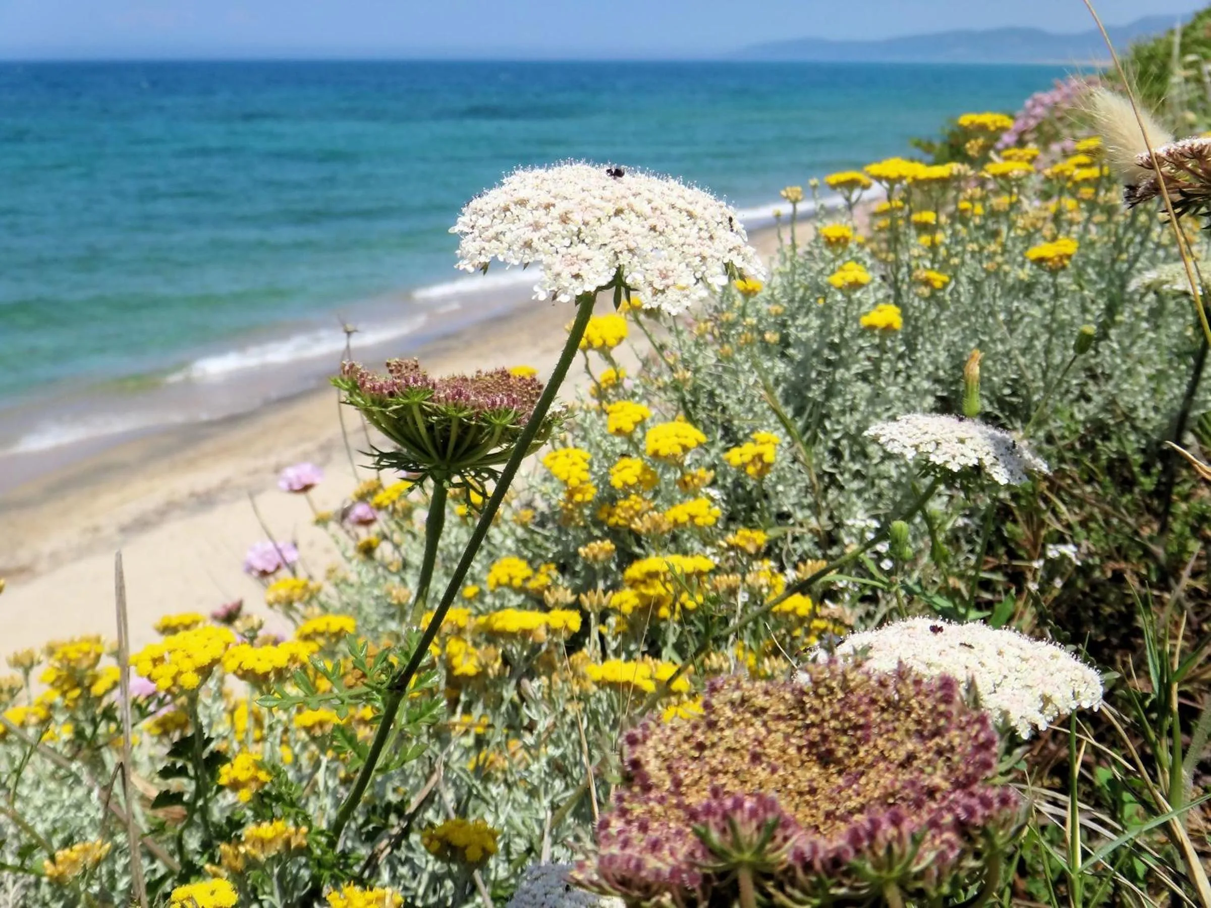 Beach in Sa Fiorida case vacanze