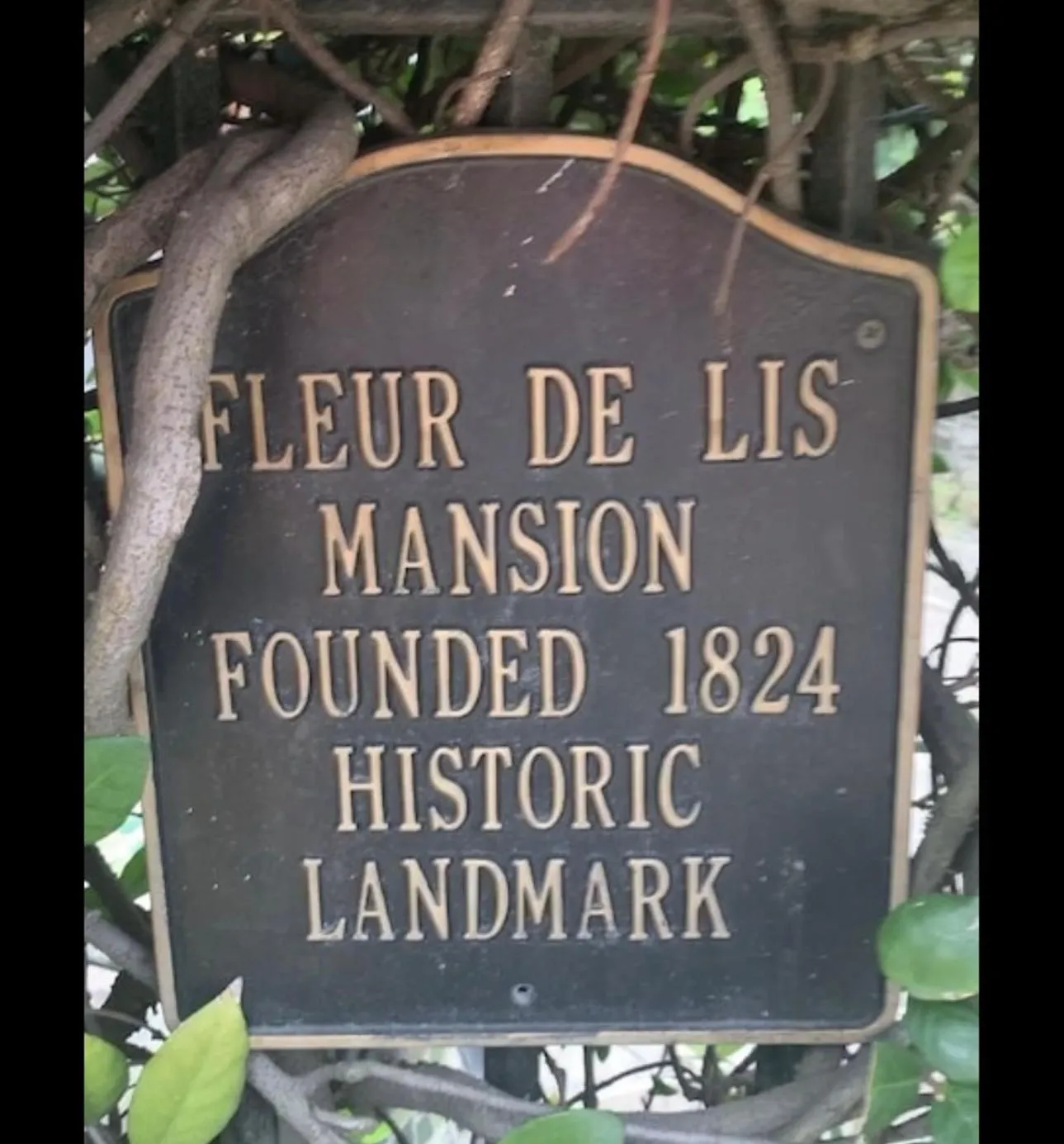 Fleur De Lis Mansion