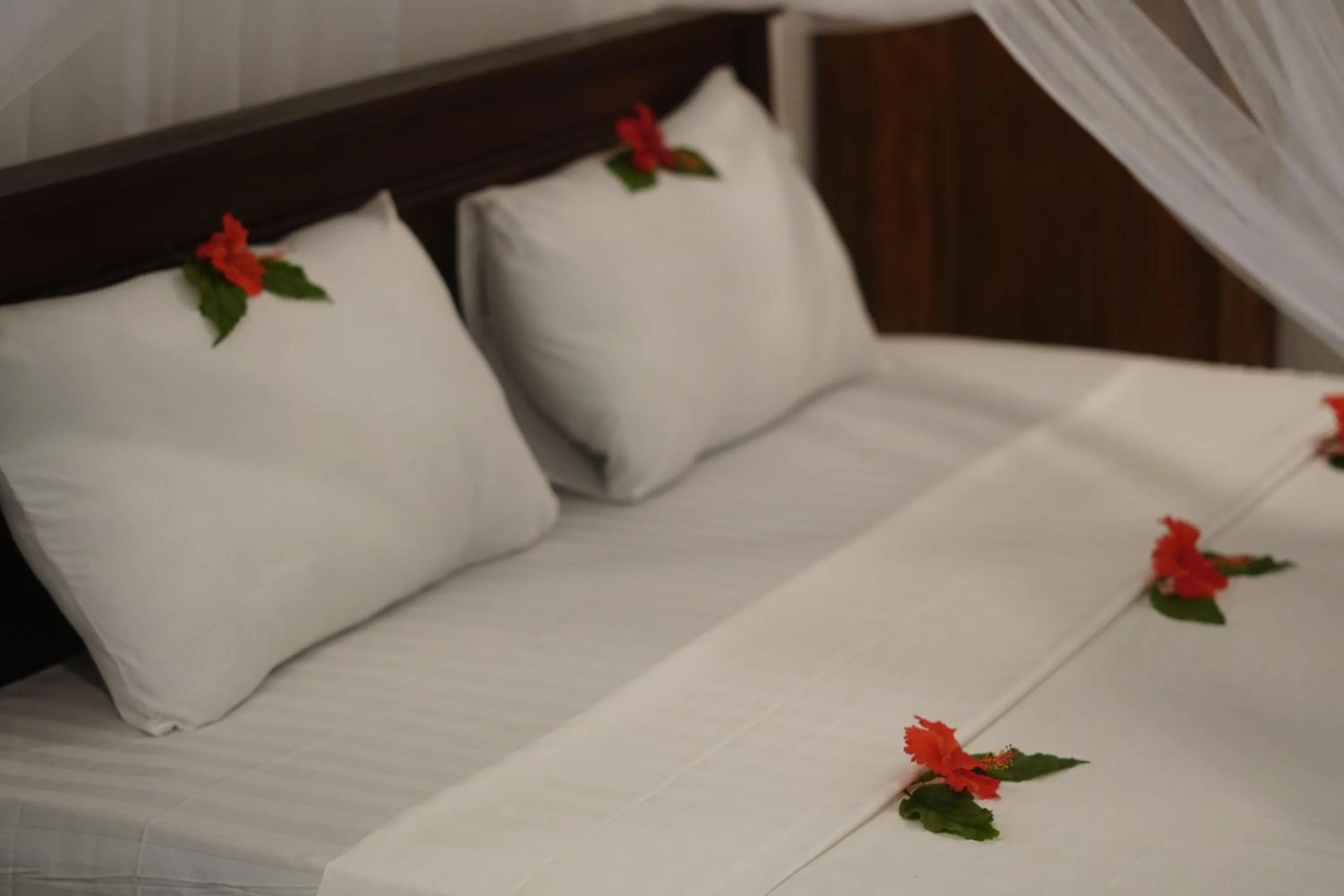 Bed in Turtle Bay Beach Resort