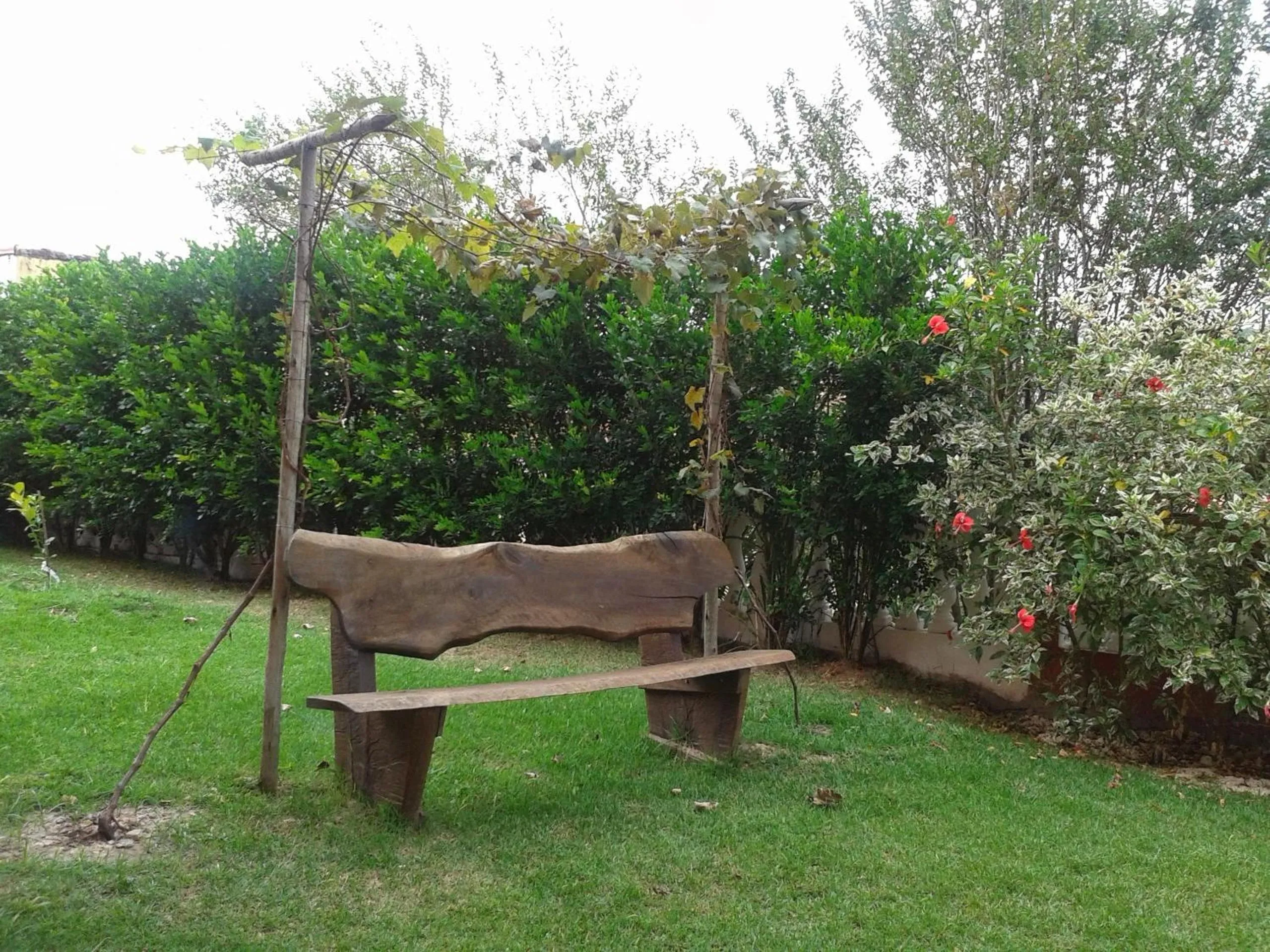 Day in Pousada Rural Paraíso