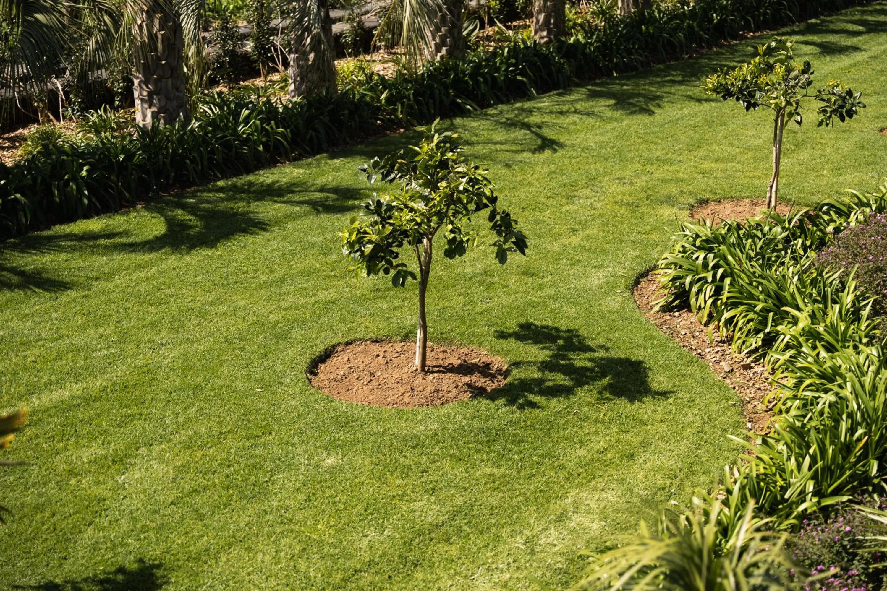 Garden in Azores Homes Resort & Spa