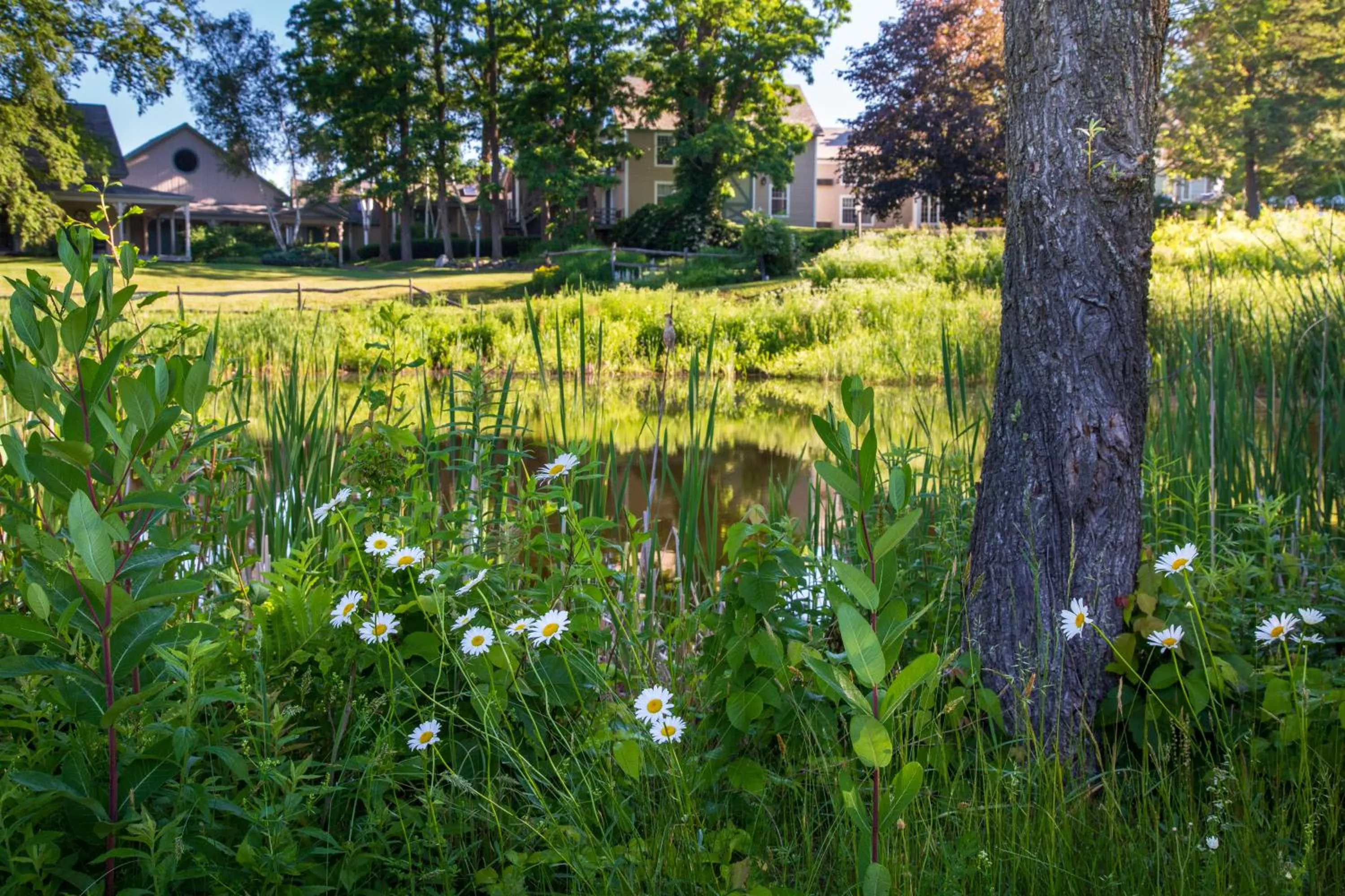 Garden in Chesterfield Inn