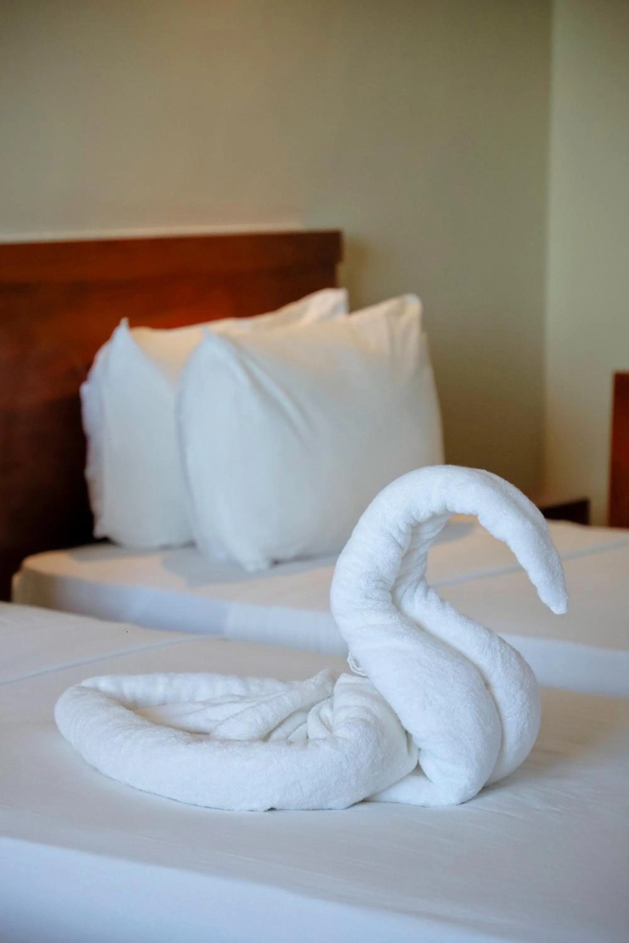 Bed in Oak Ray La Ella Breeze