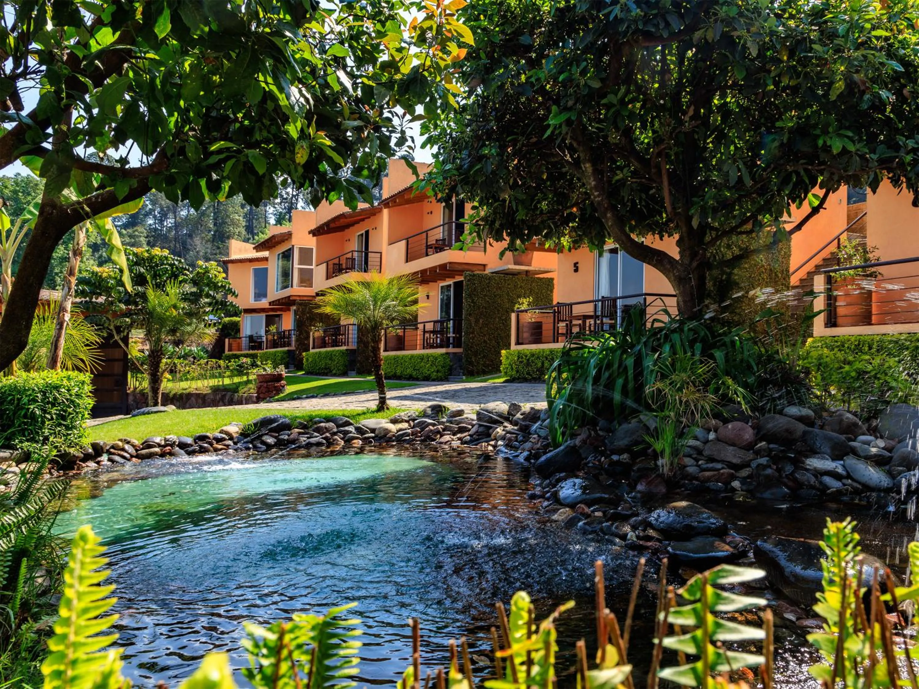 Natural landscape in Hotel Campestre, Valle de Bravo