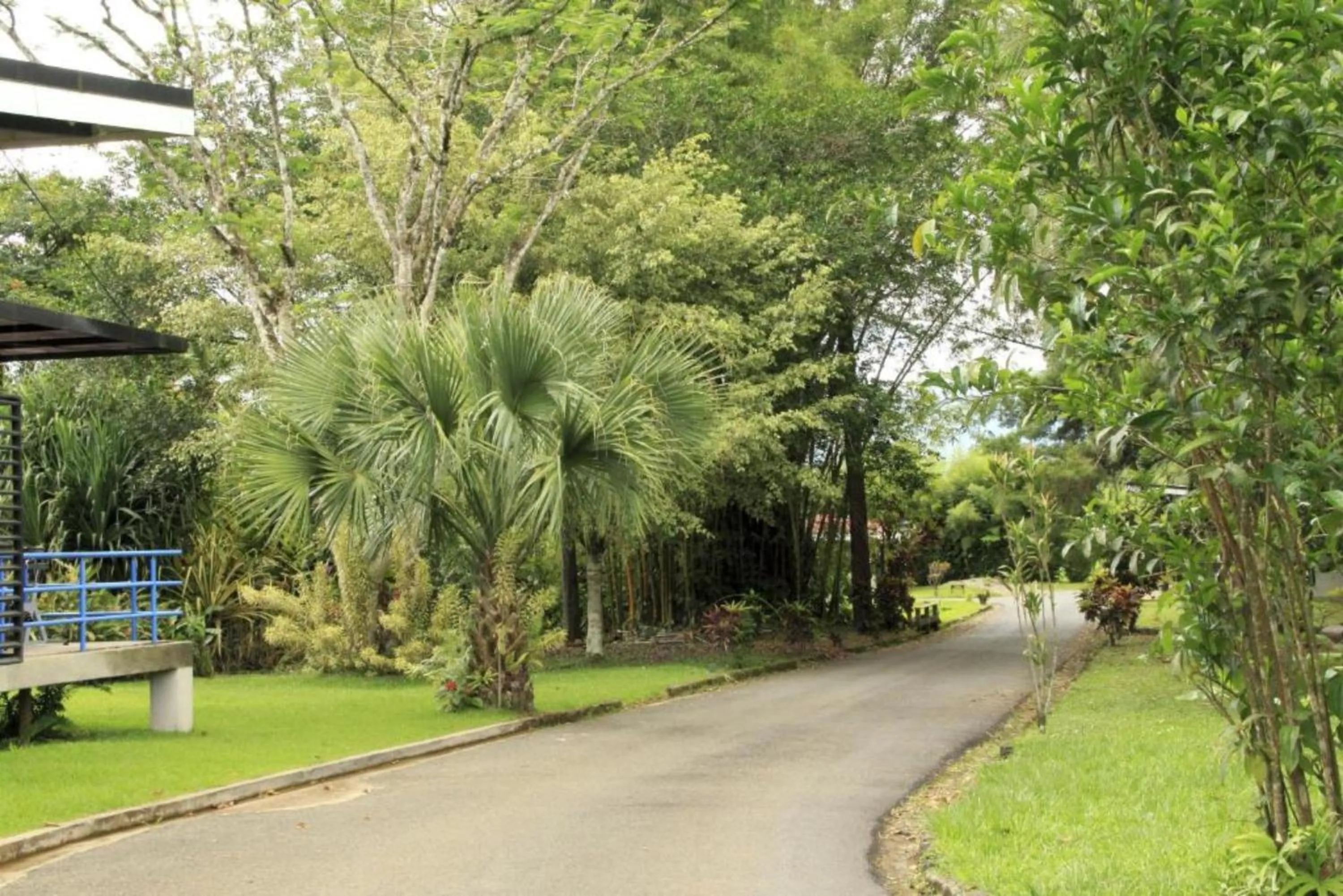 Garden in Hotel del Sur