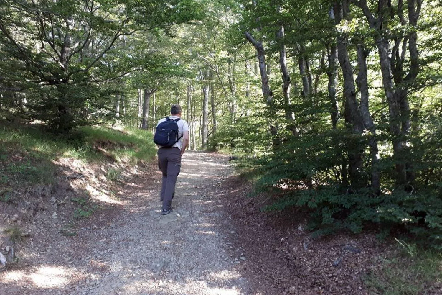 Natural landscape in A'Loro B&B