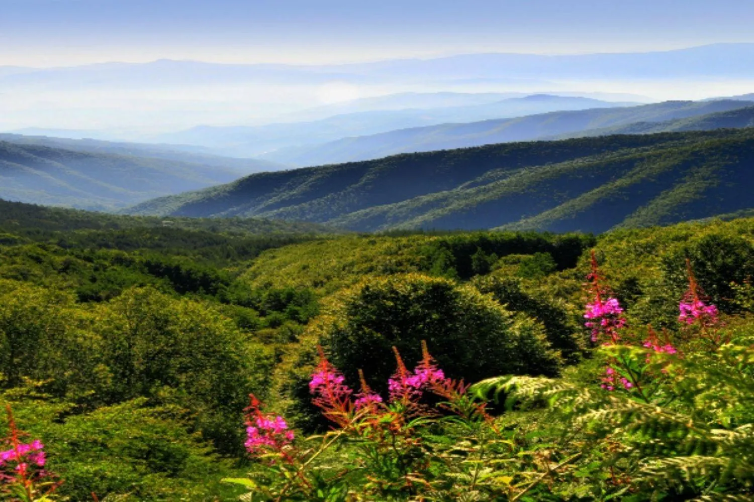 Nearby landmark in A'Loro B&B