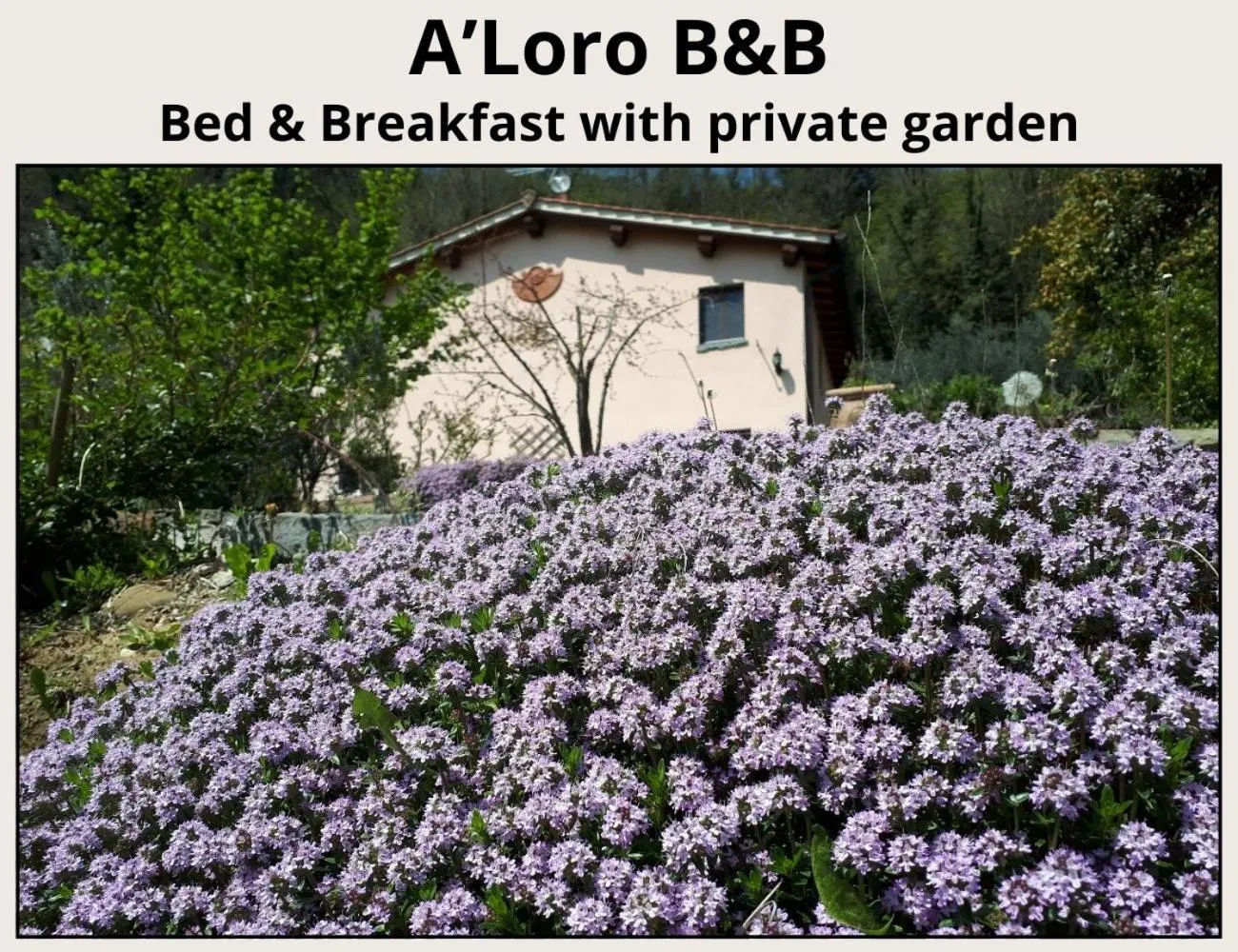 Spring in A'Loro B&B