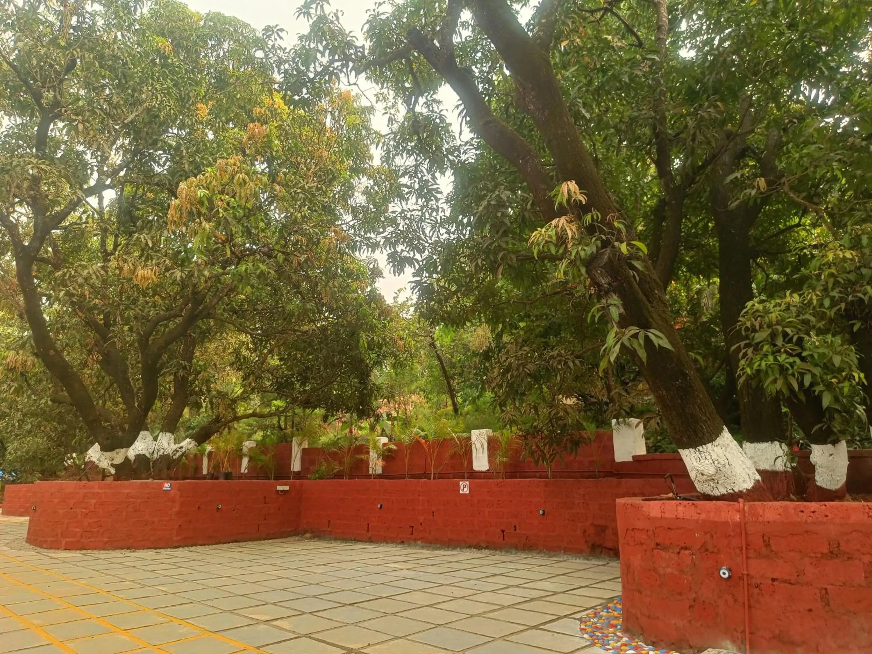 Garden in Shantadurga Beachside Homestay