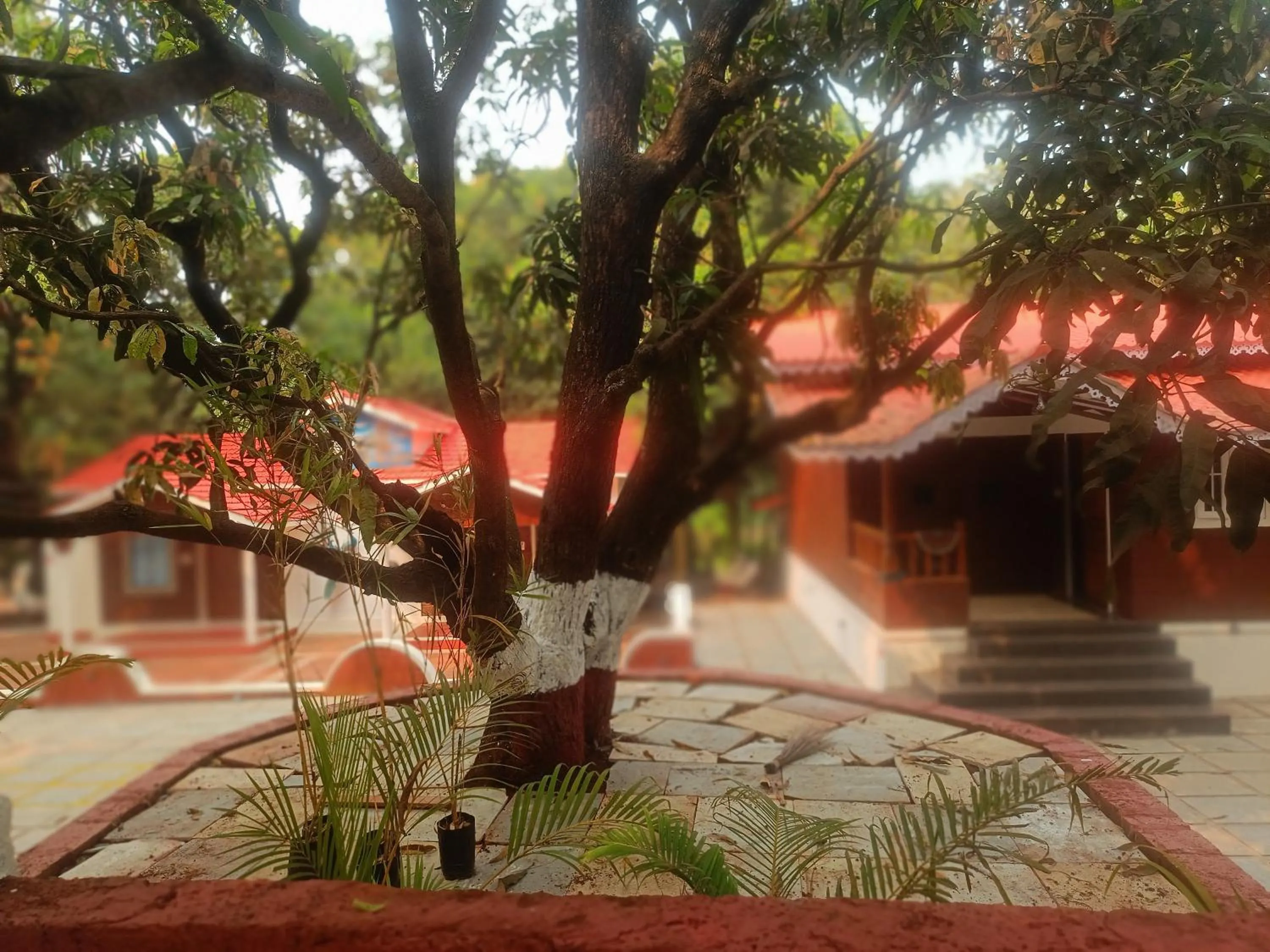 Shantadurga Beachside Homestay