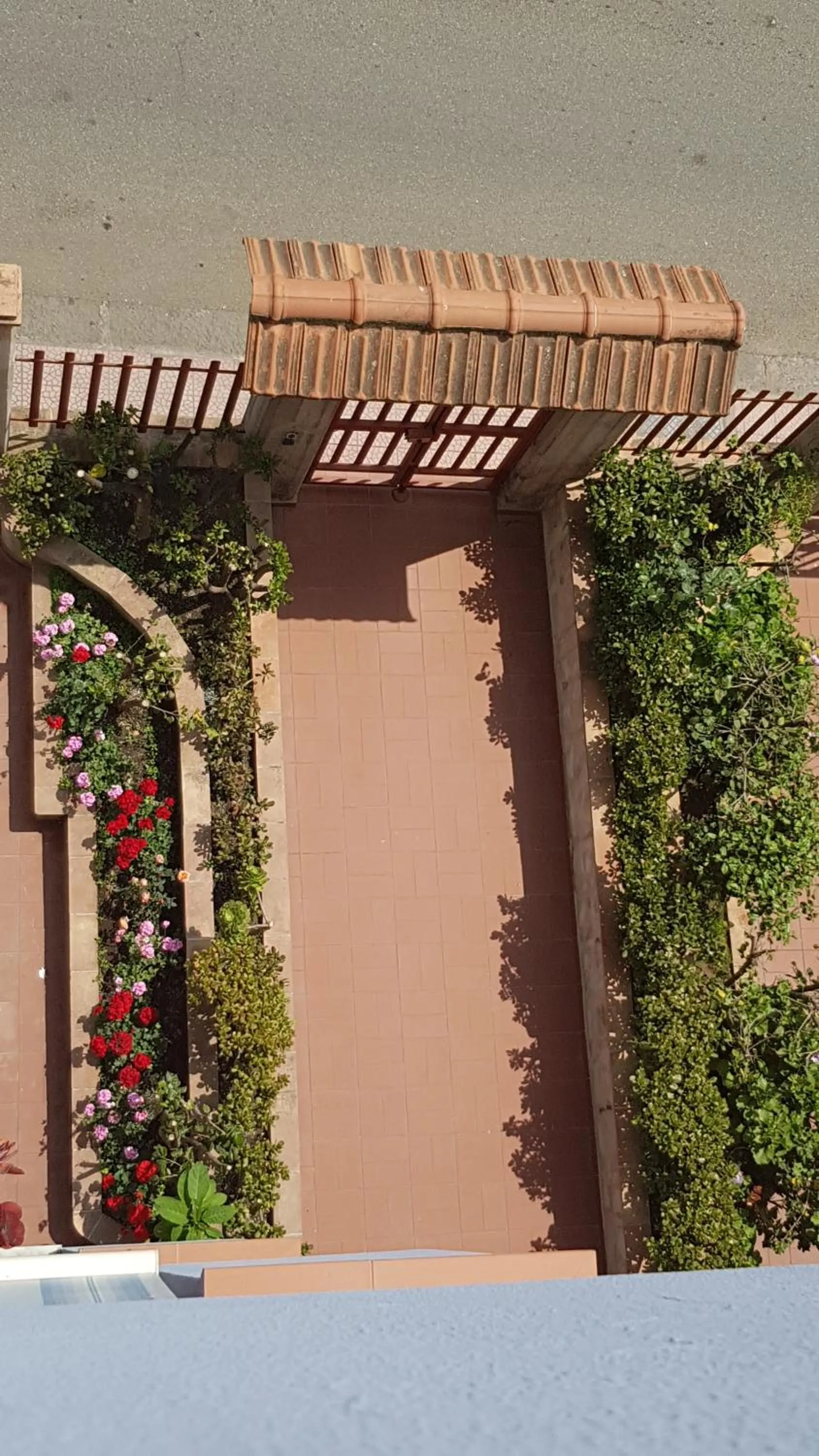 On site in B&B Mimosa