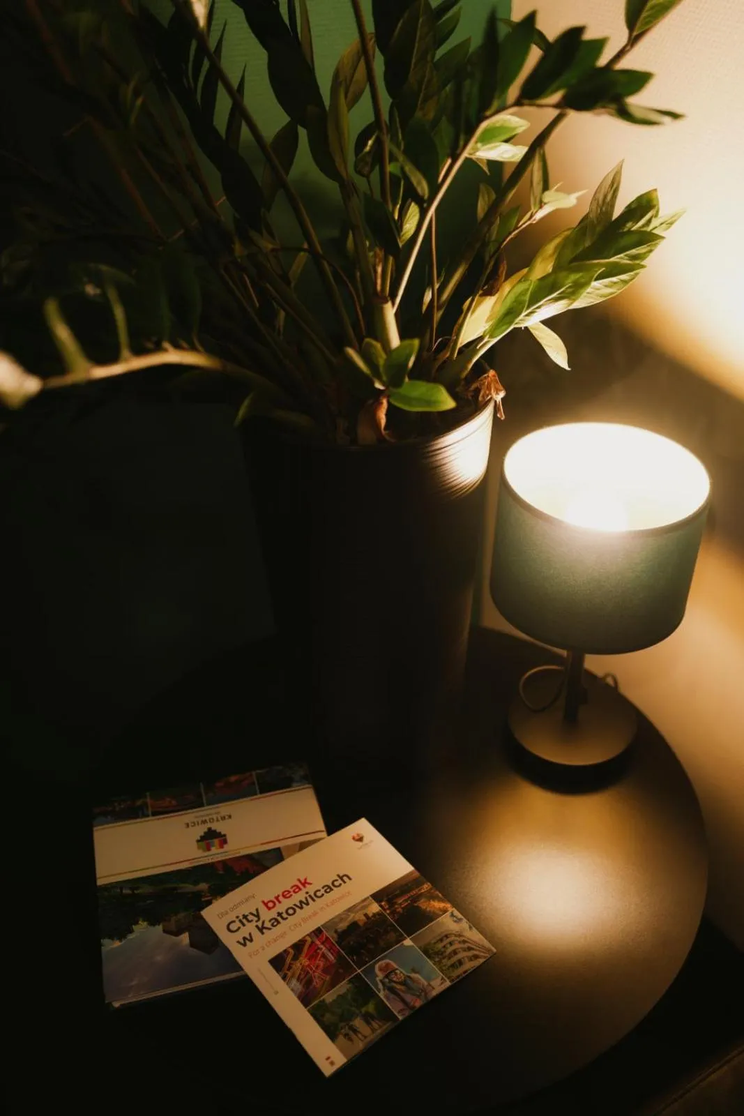 Economy Silesian Hotel