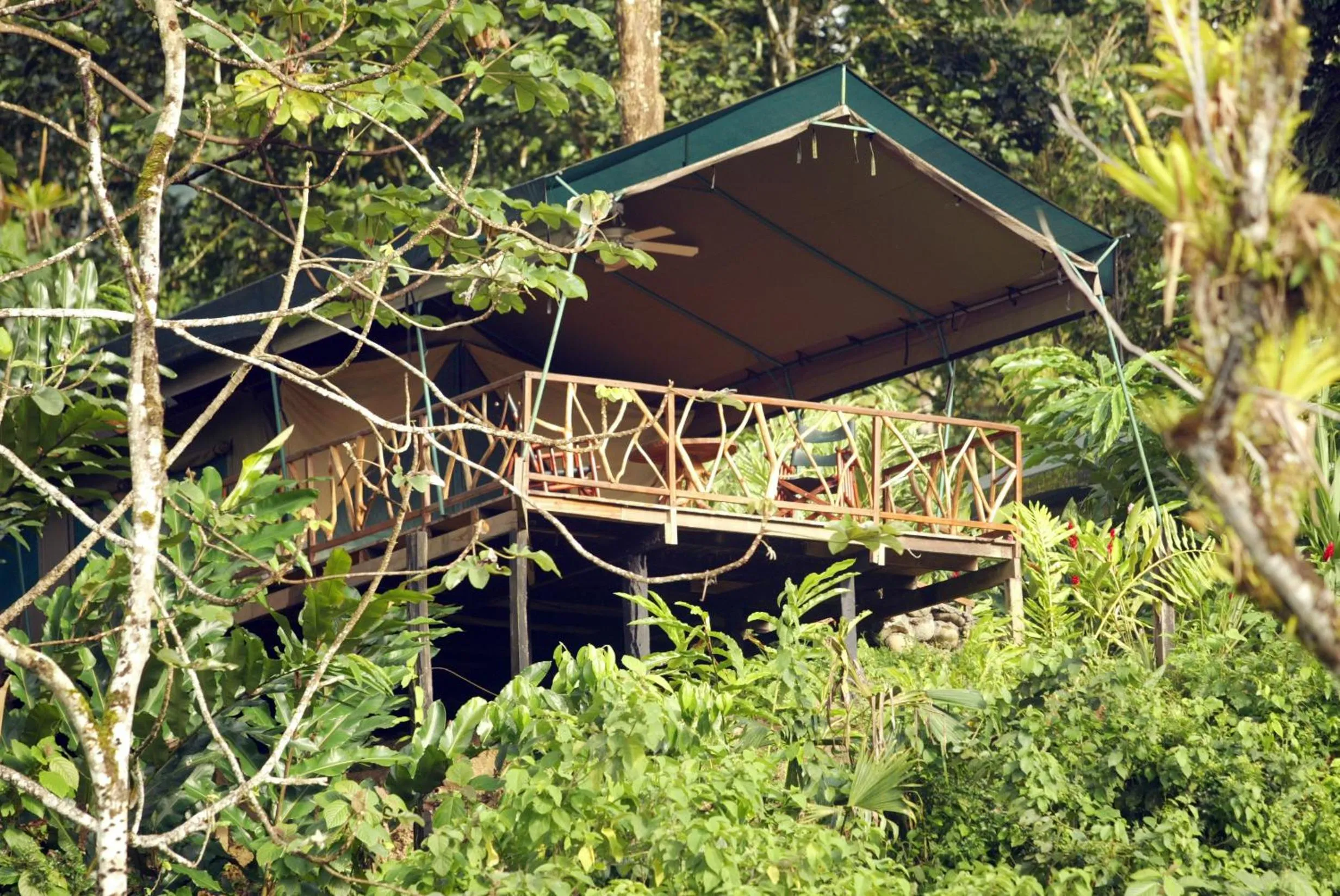 Rafiki Safari Lodge