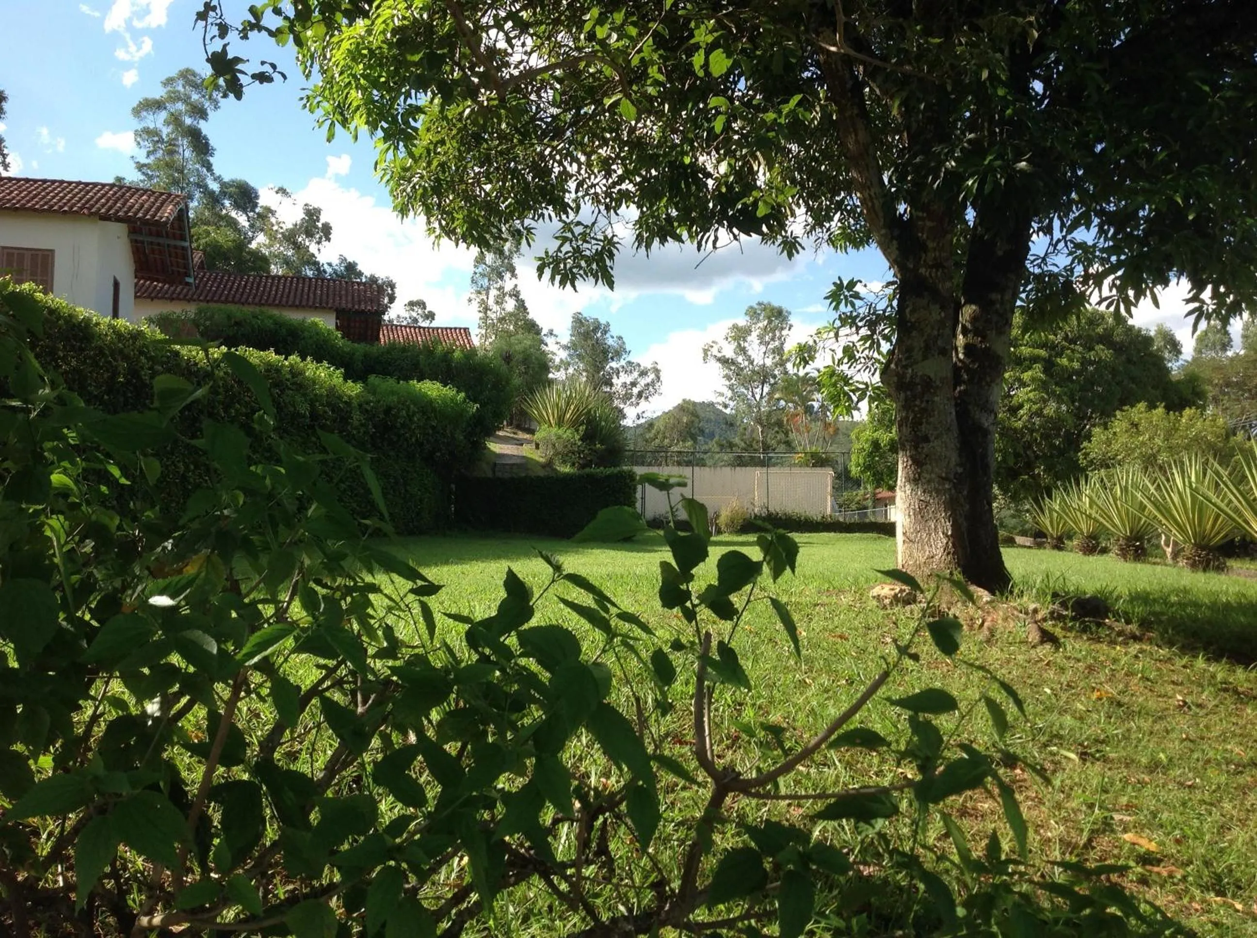 Garden view in Maison Clapp