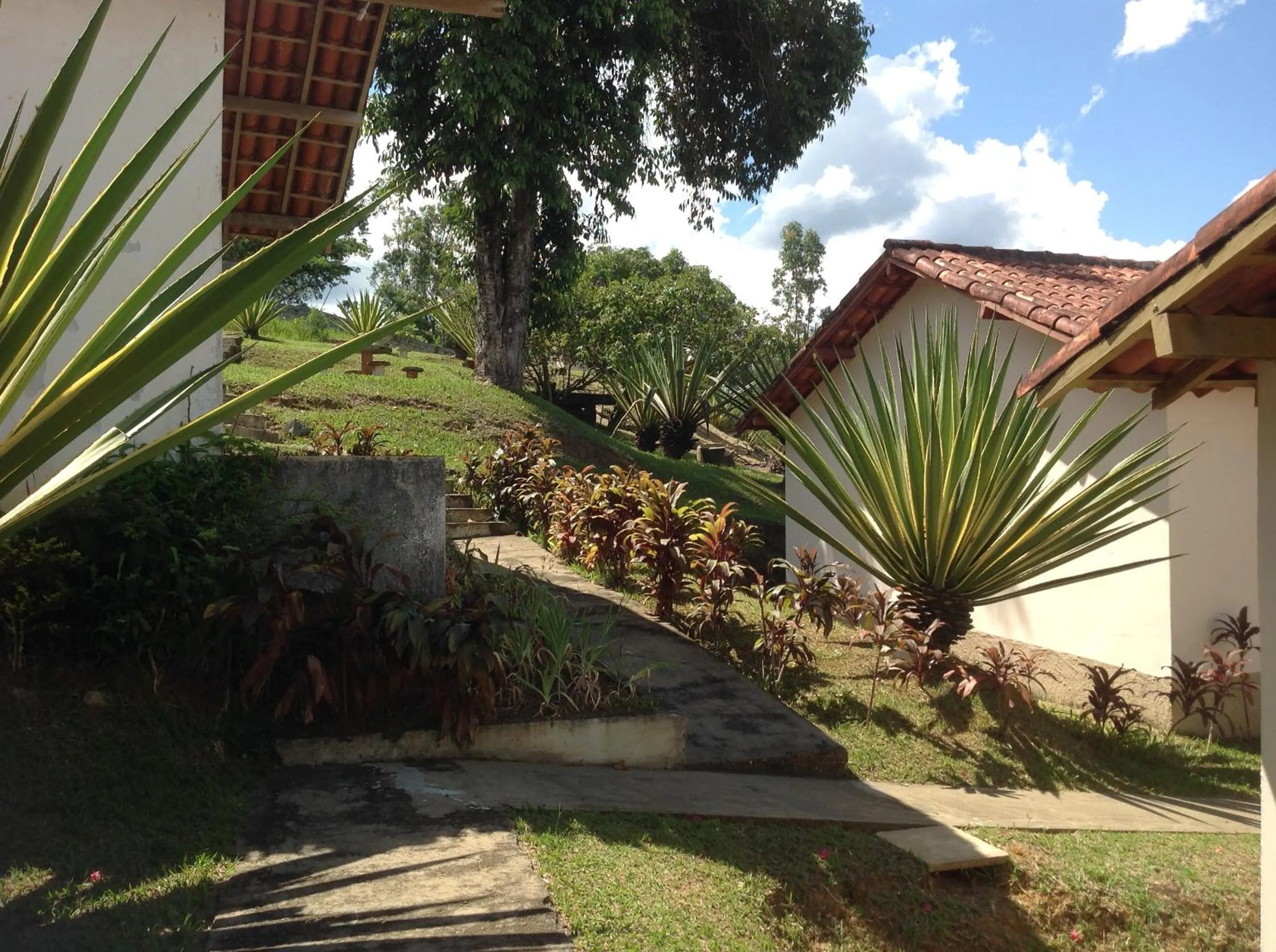 Garden in Maison Clapp